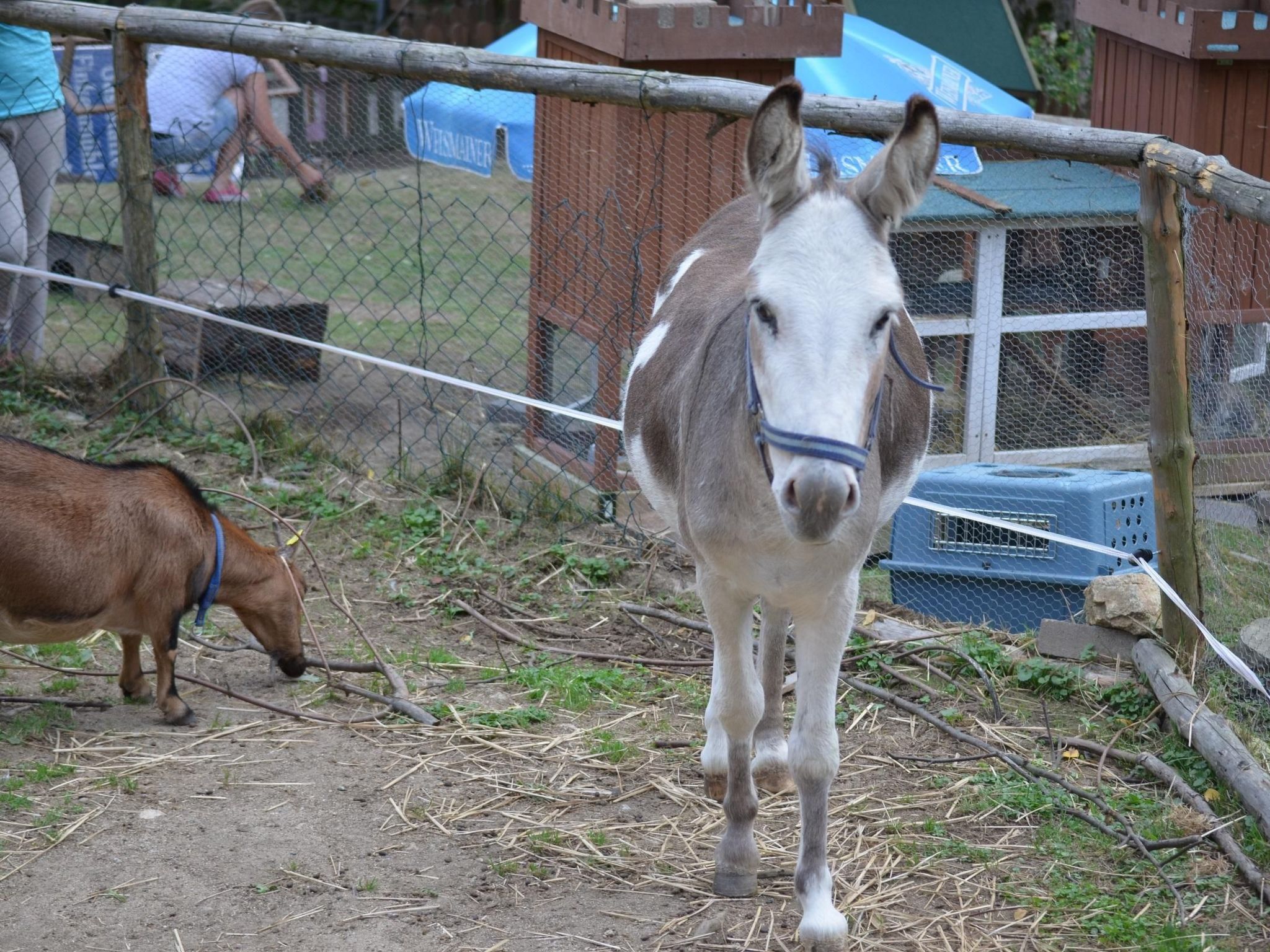 Mit Balkon und Geschirrspülmaschine-Binnen
