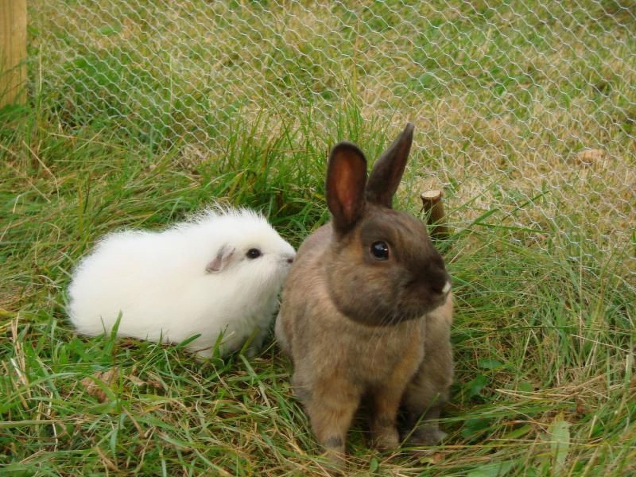 Mit Balkon und Geschirrspülmaschine-Binnen