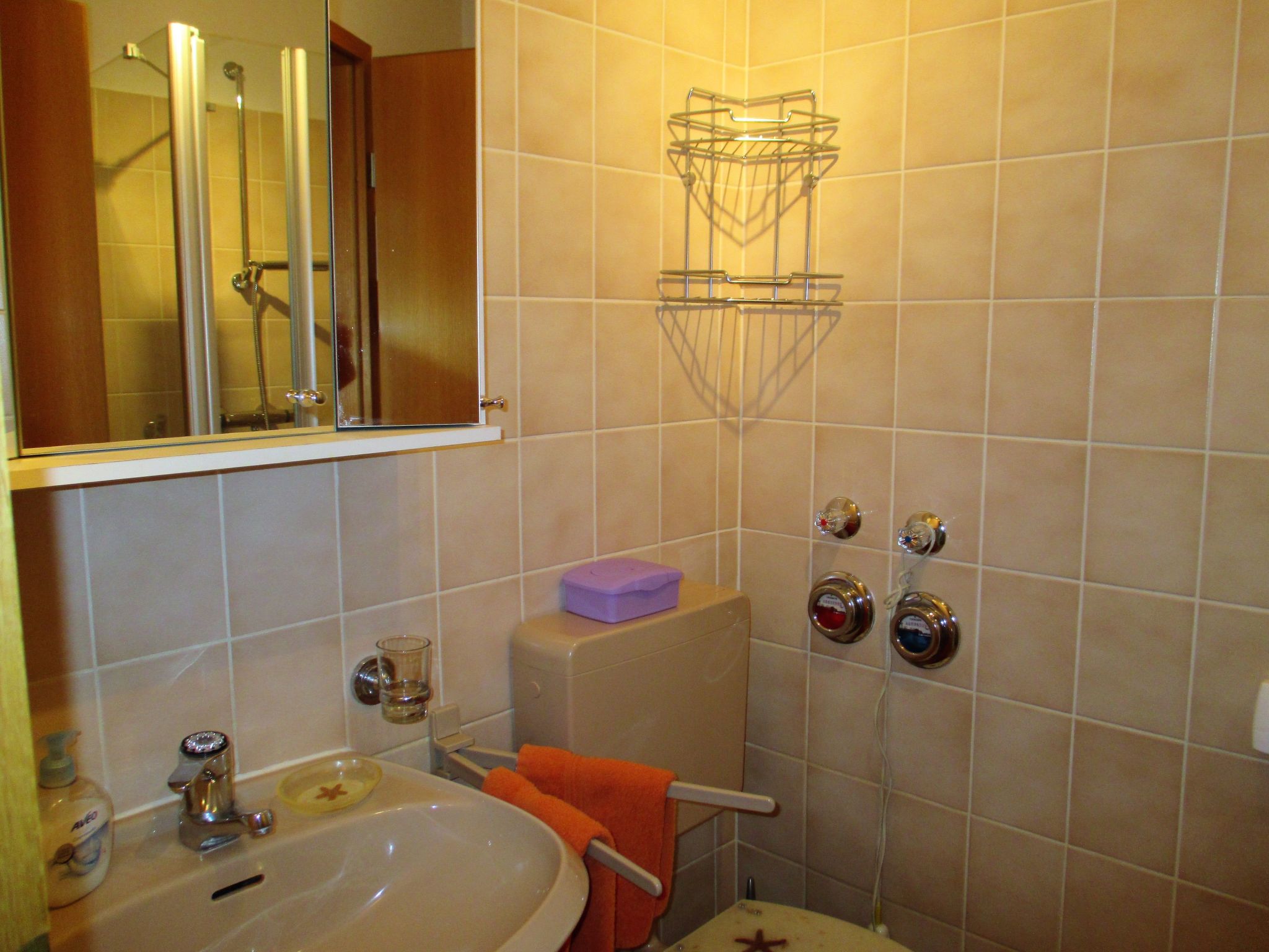 Große Wohnung in Weißenstadt-Dedans