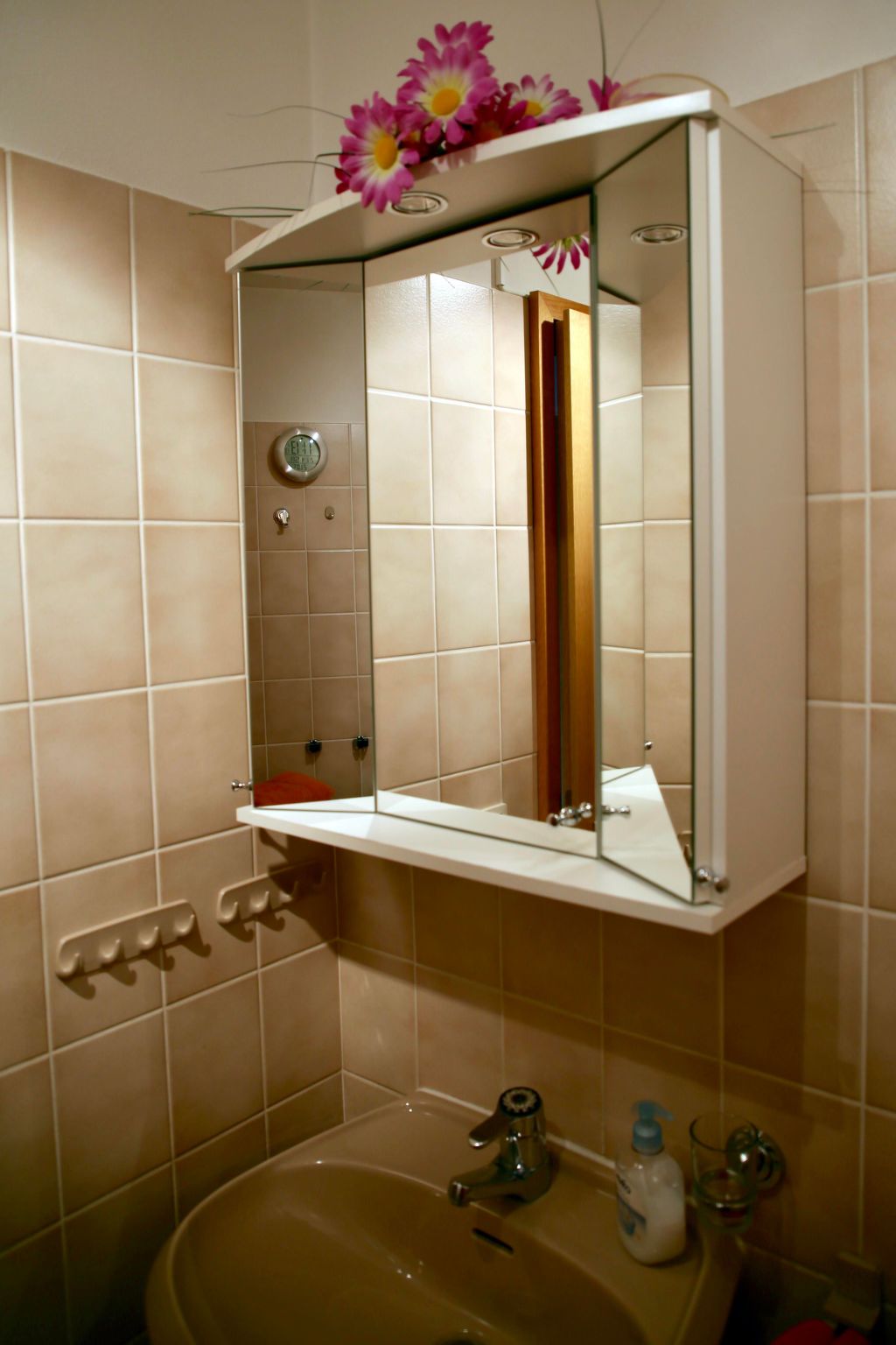 Große Wohnung in Weißenstadt-Dedans