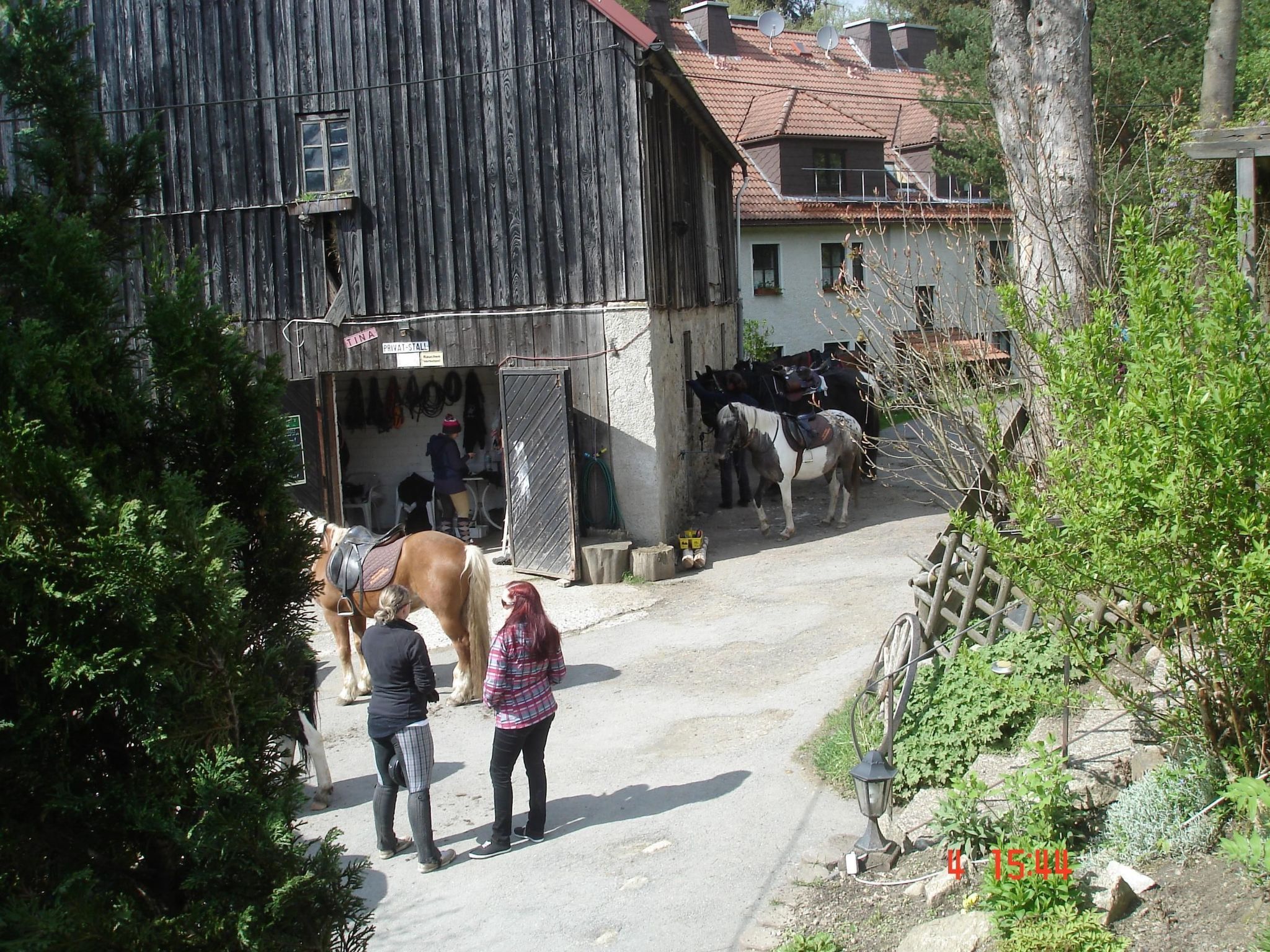 Auf einem Reiterhof-Dedans