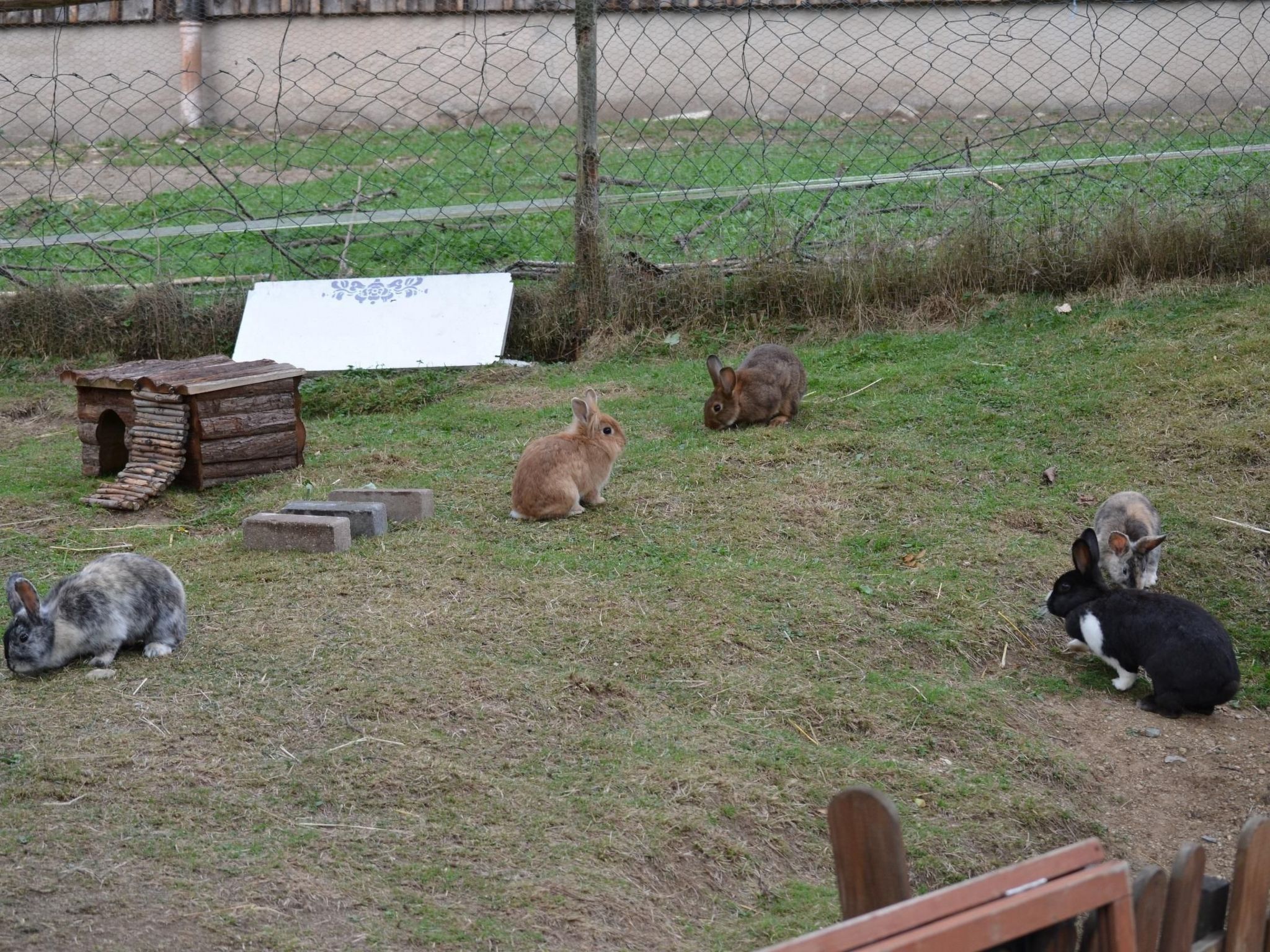 Mit Balkon und zwei Schlafzimmern-Dedans
