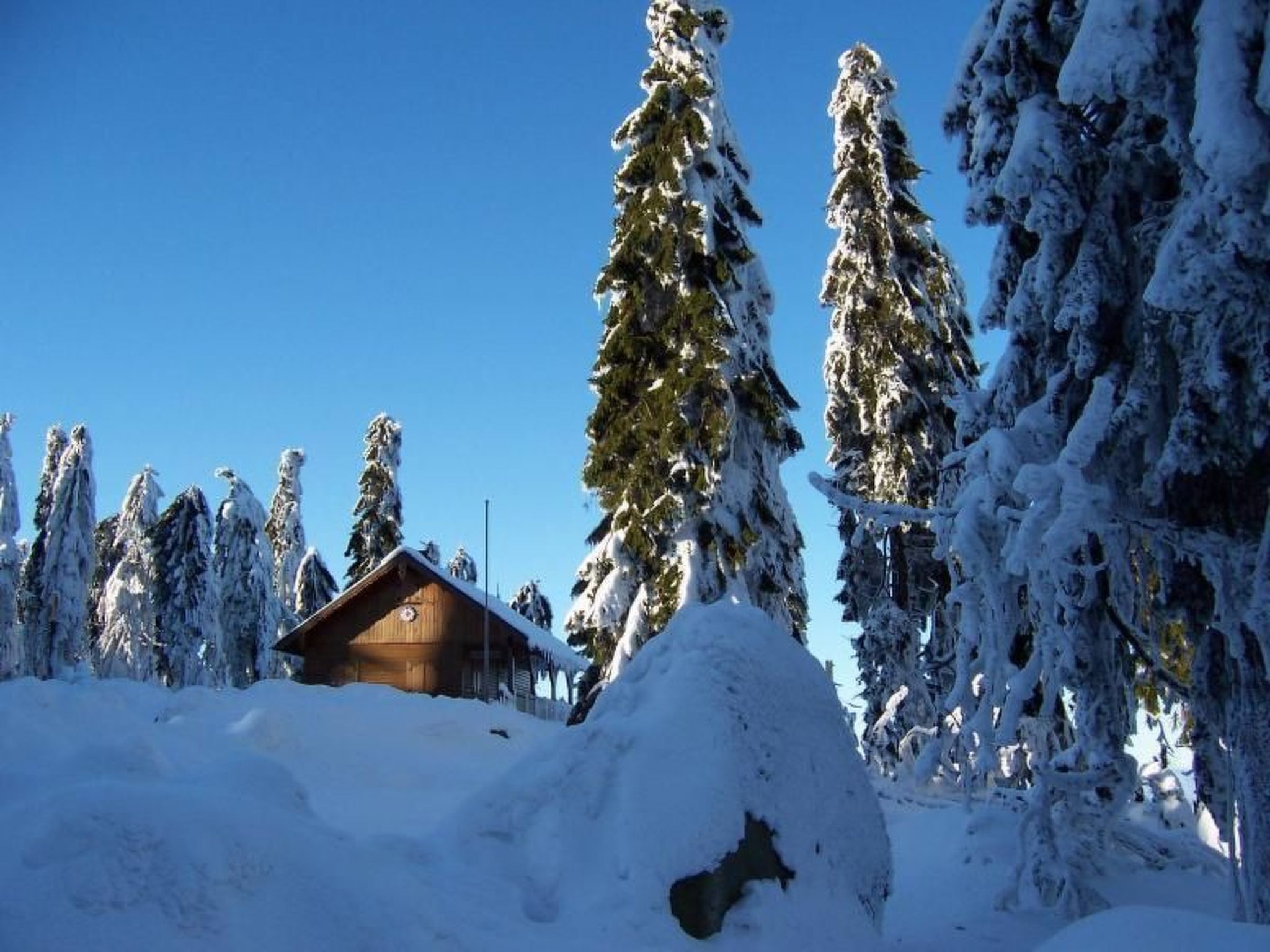 Am Weißenstädter See-Image-tags.info