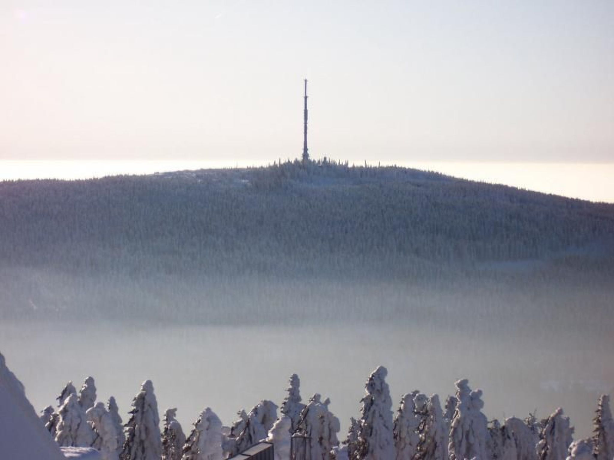 Am Weißenstädter See-Image-tags.info