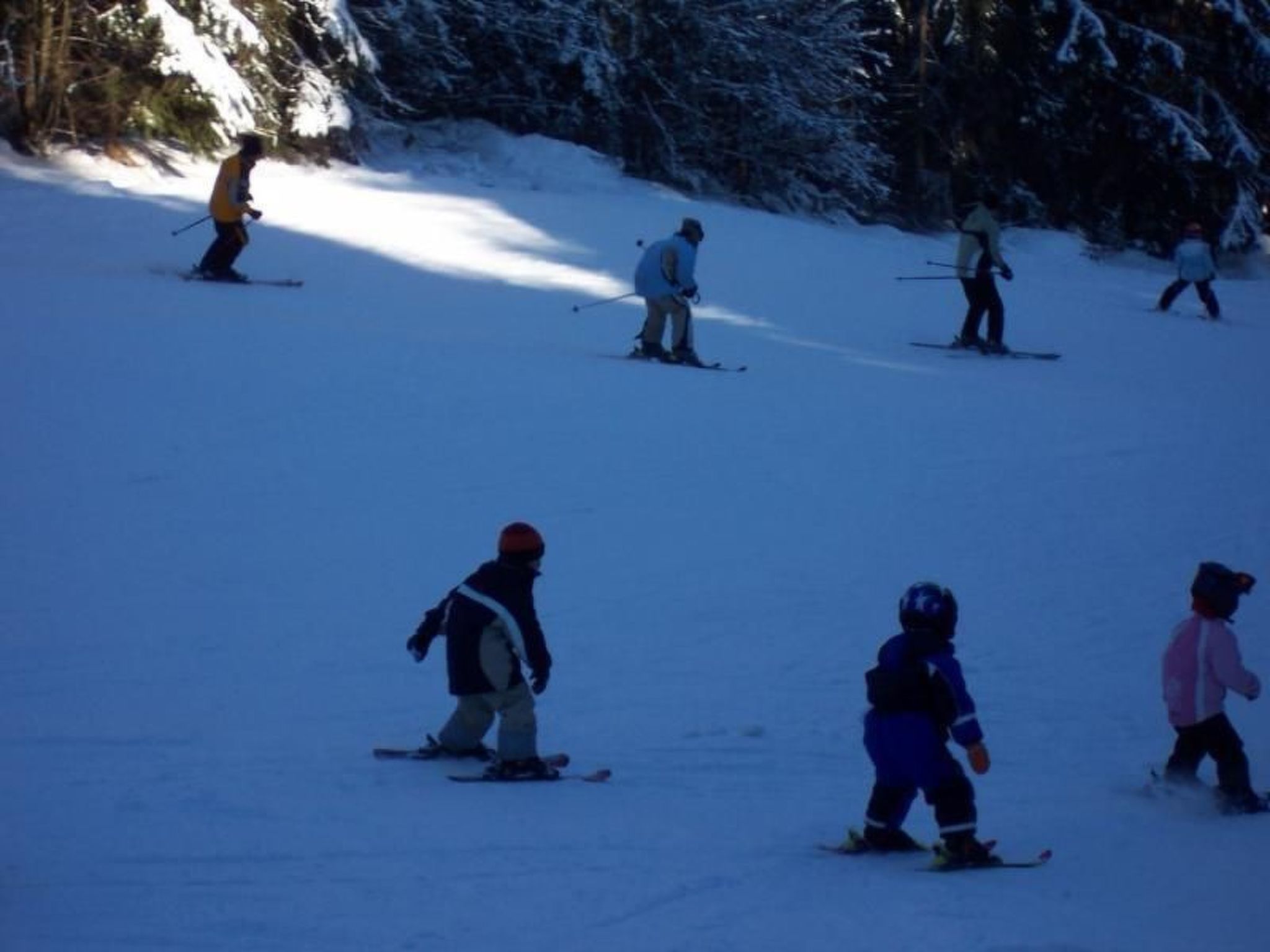 Am Weißenstädter See-Image-tags.info