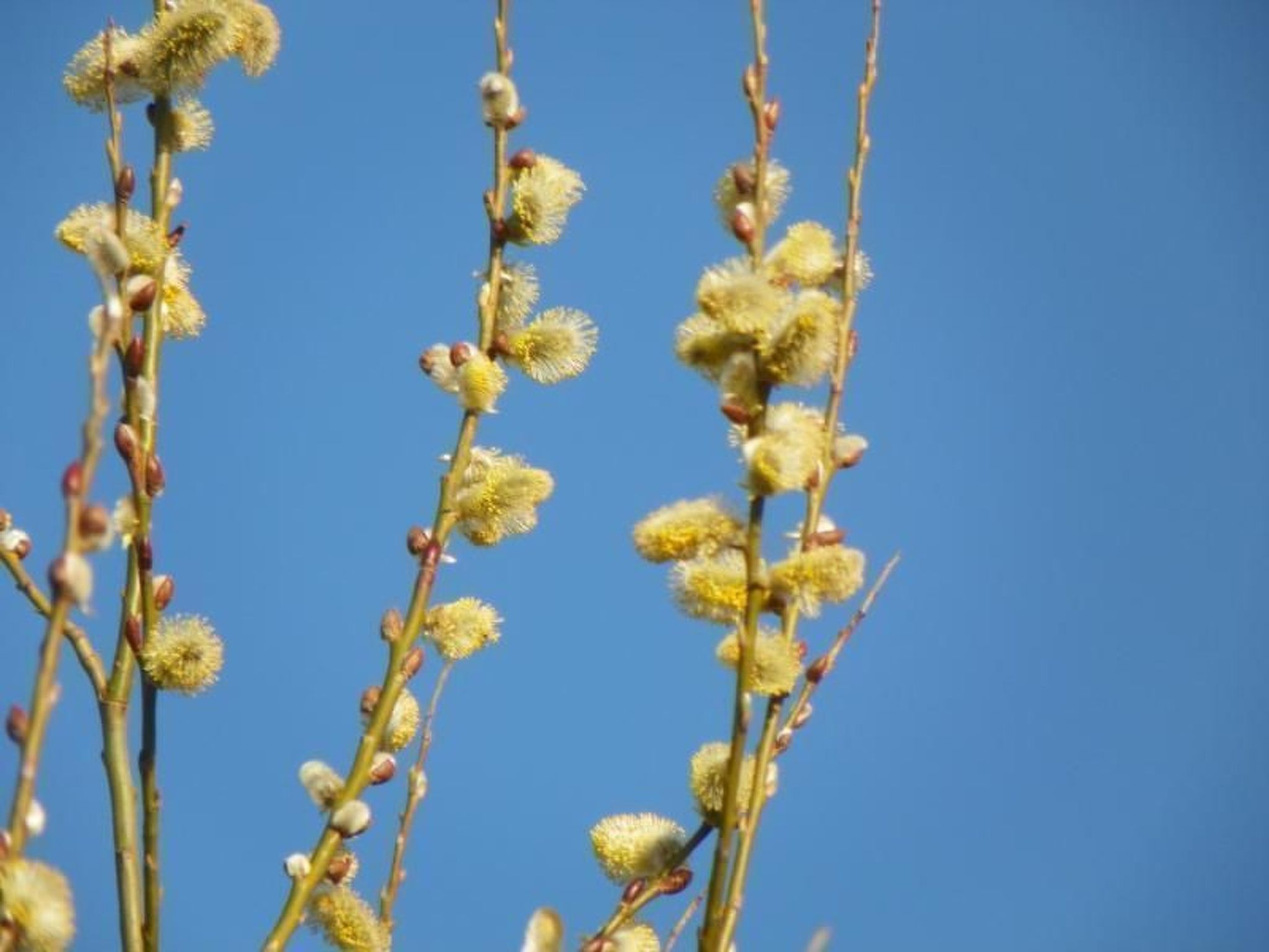 Am Weißenstädter See-Image-tags.info