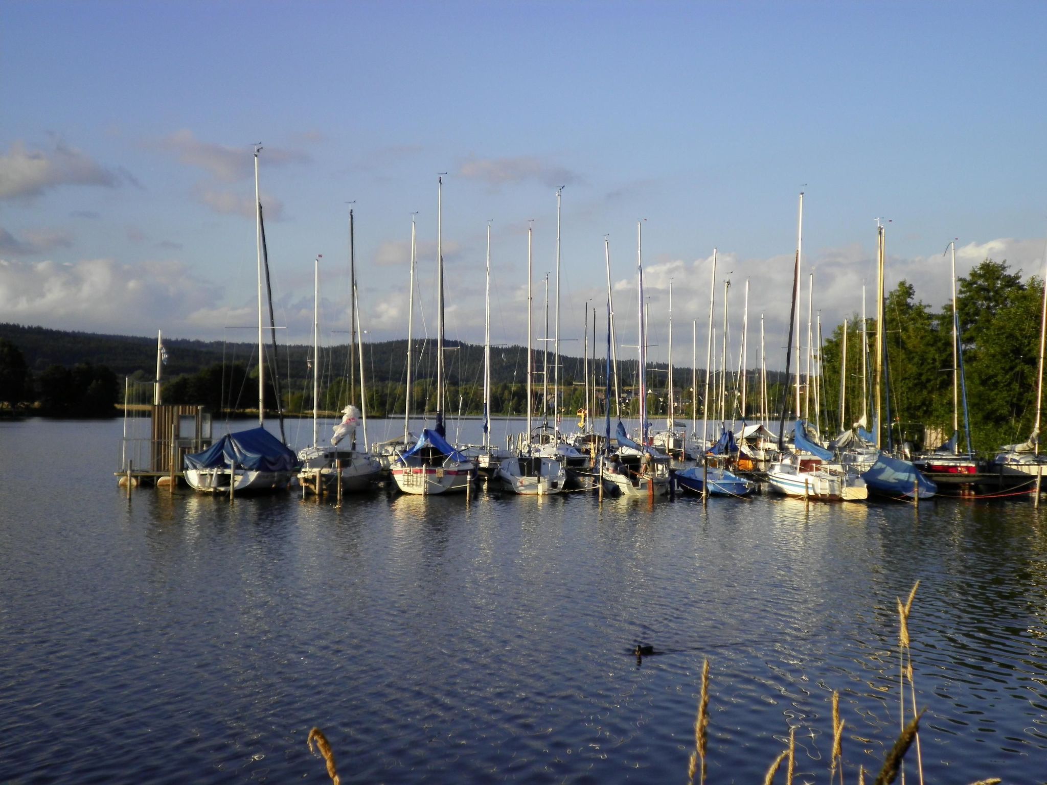 Am Weißenstädter See-Image-tags.info