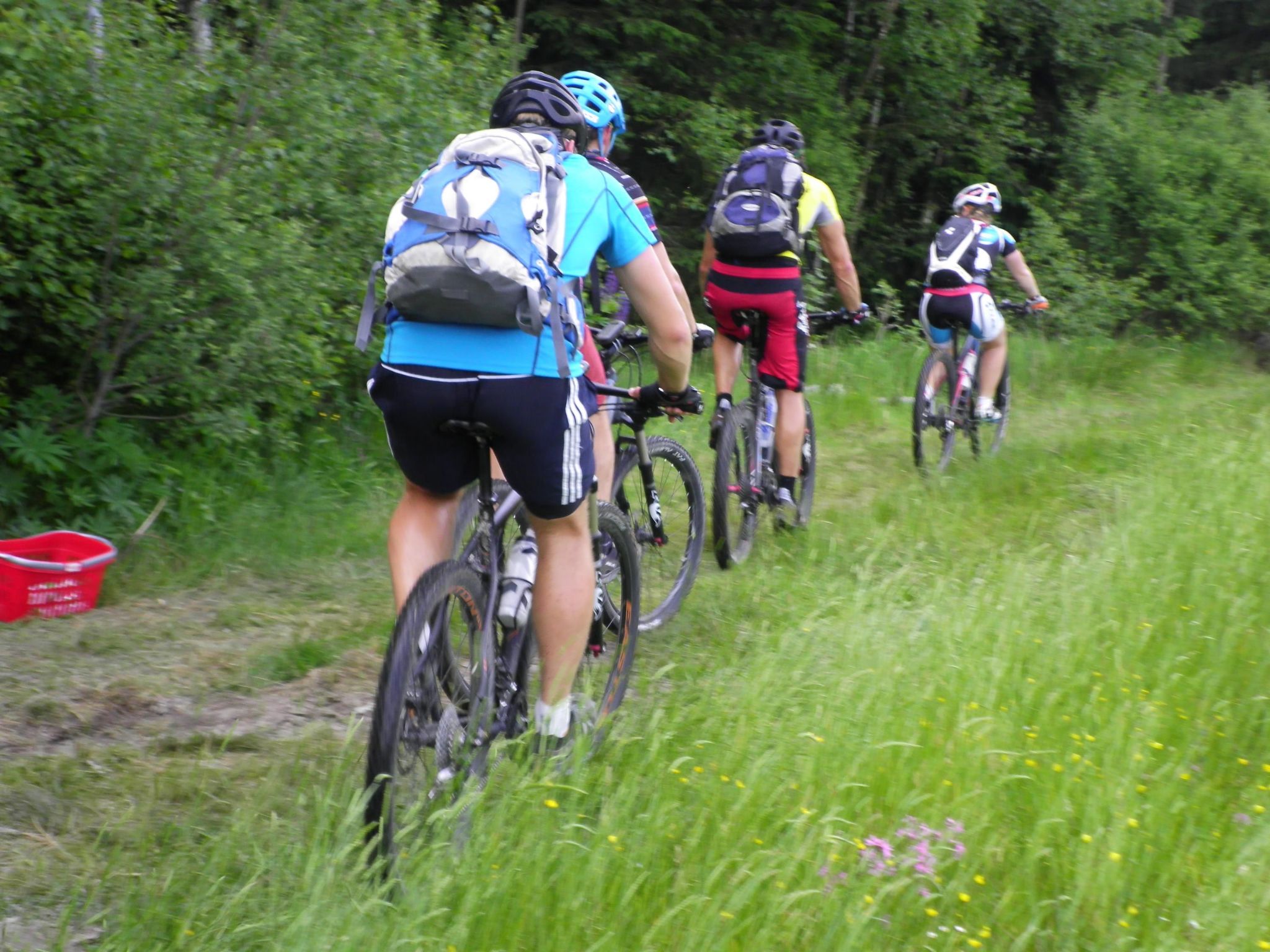 Am Weißenstädter See-Image-tags.info