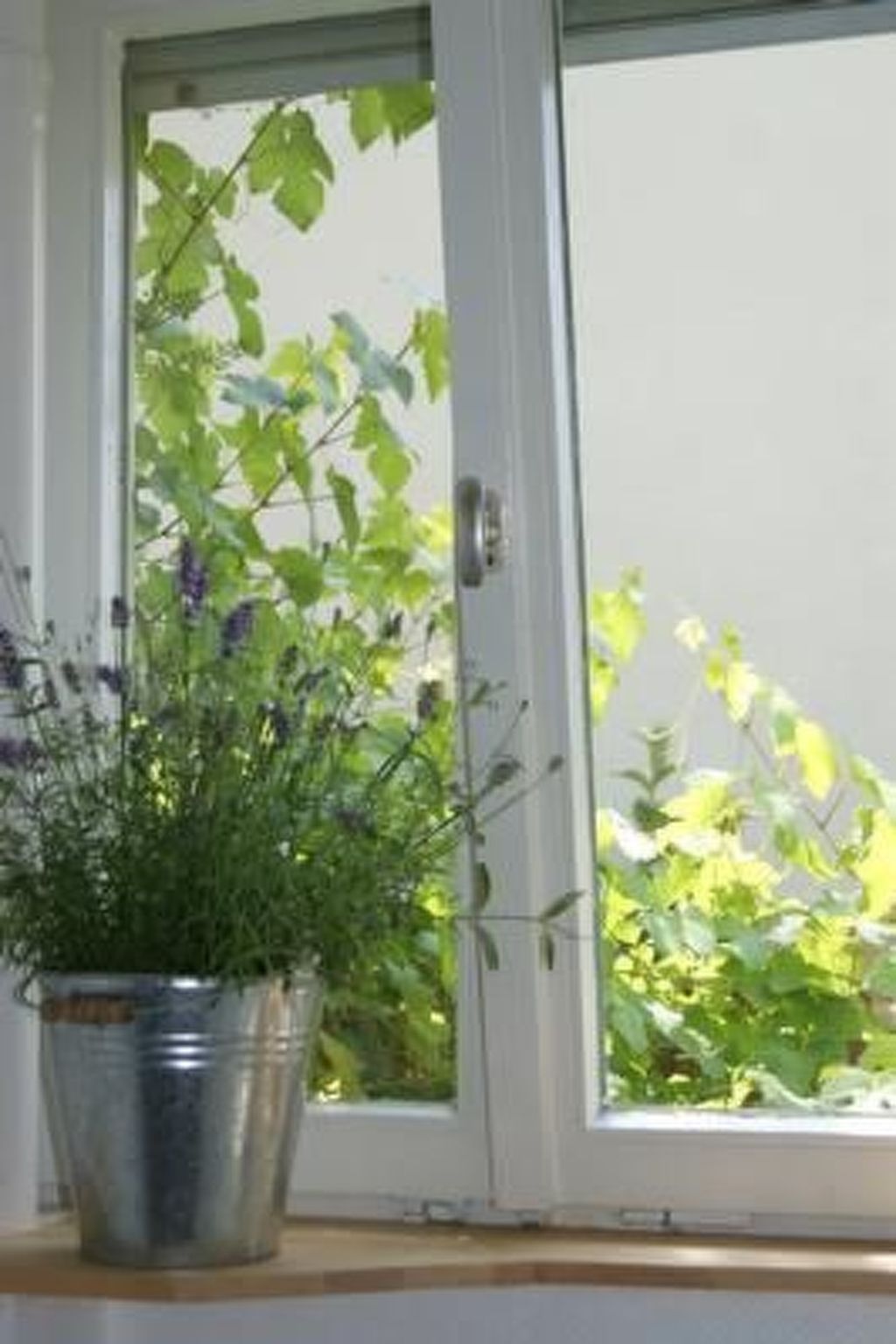 Kleine Dachwohnung — Living Room (5 of 12)