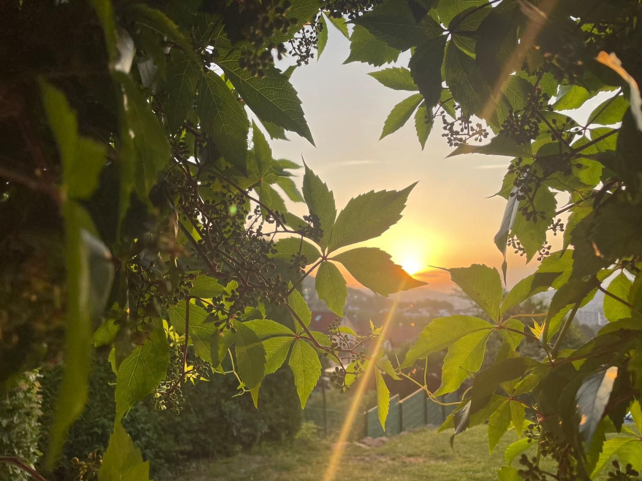 Kleines Ferienhaus mit Garten und Grill in Garitz-Binnen