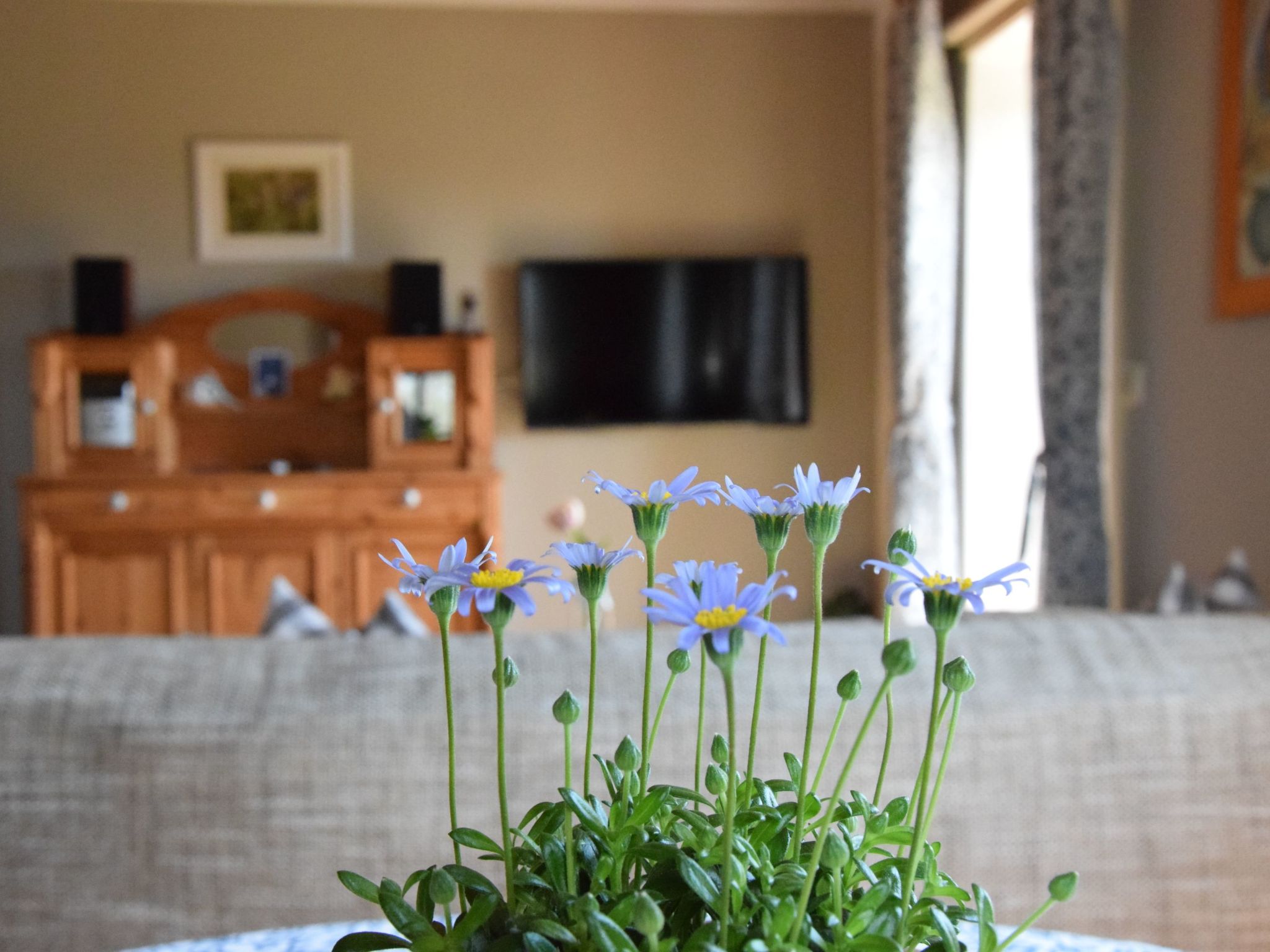 Charmant trifft Moderne - Ferienwohnung Linde-Image-tags.info