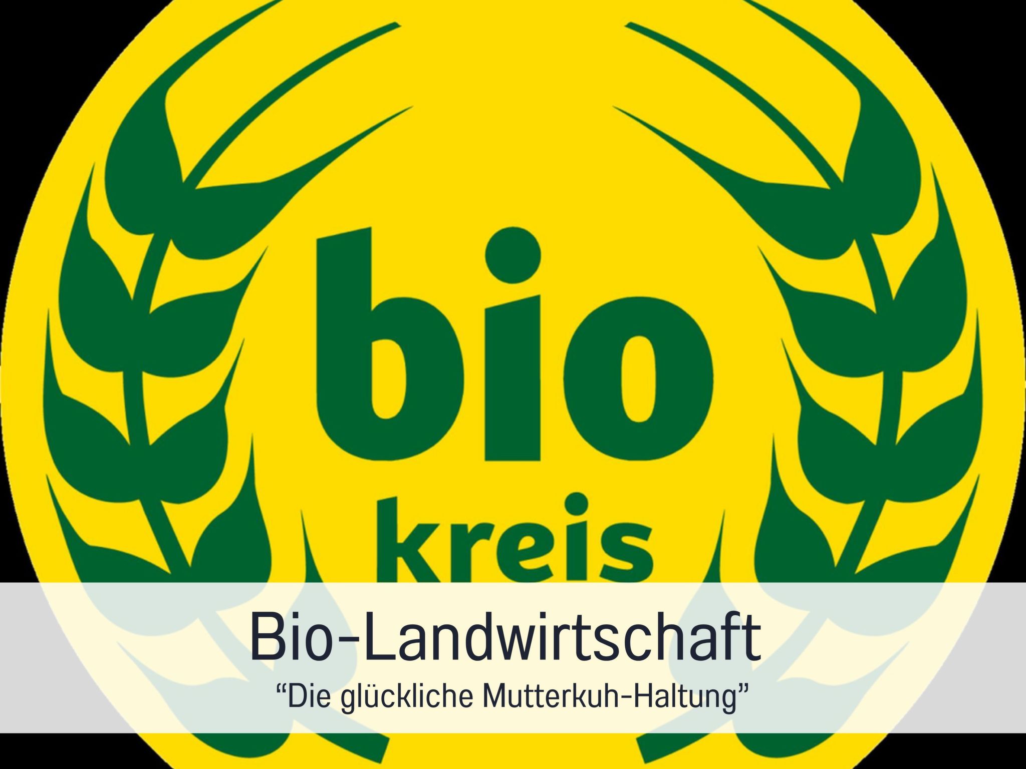 FeWo GRANAT-Image-tags.info