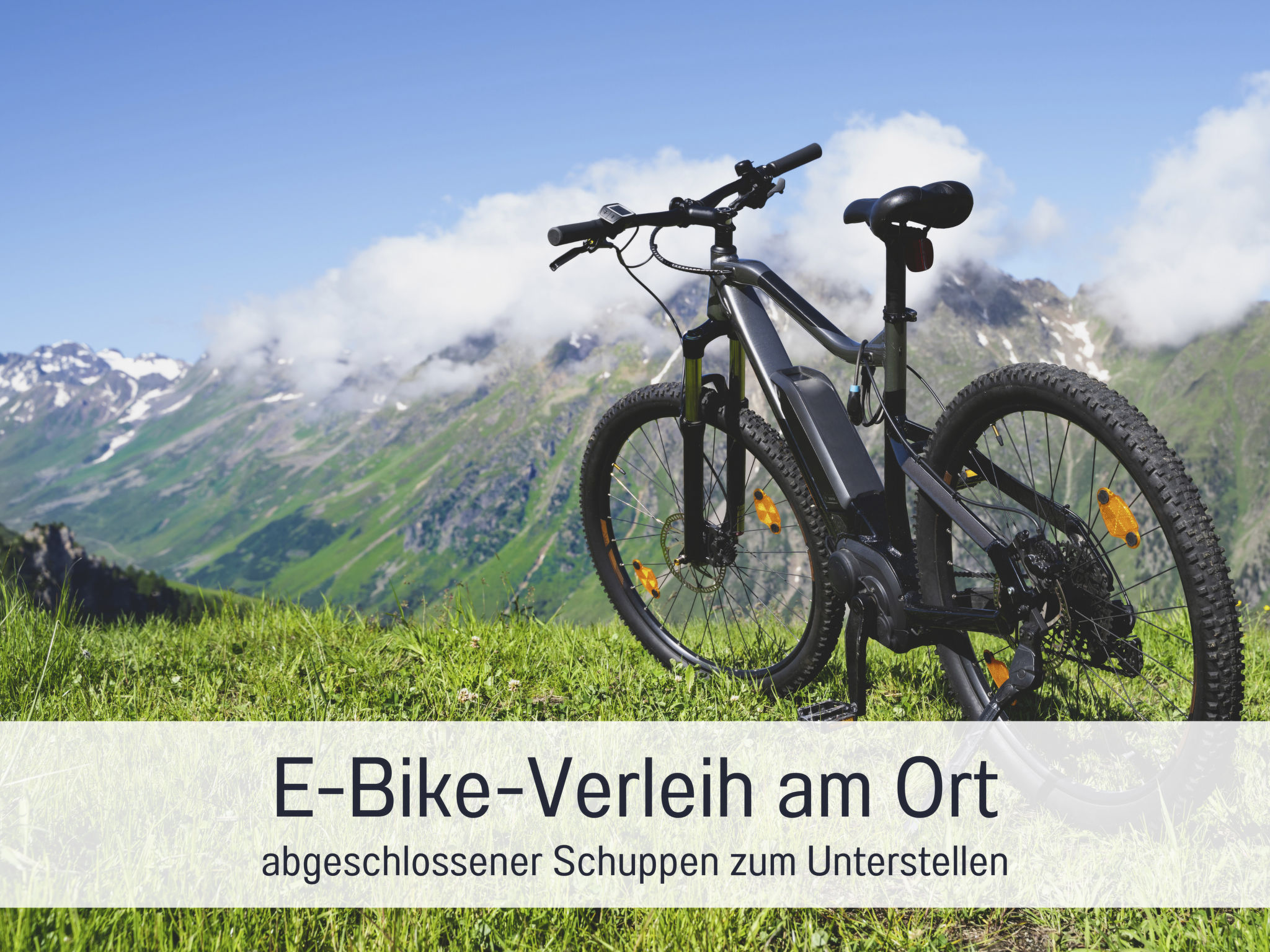 BERNSTEIN-Image-tags.info