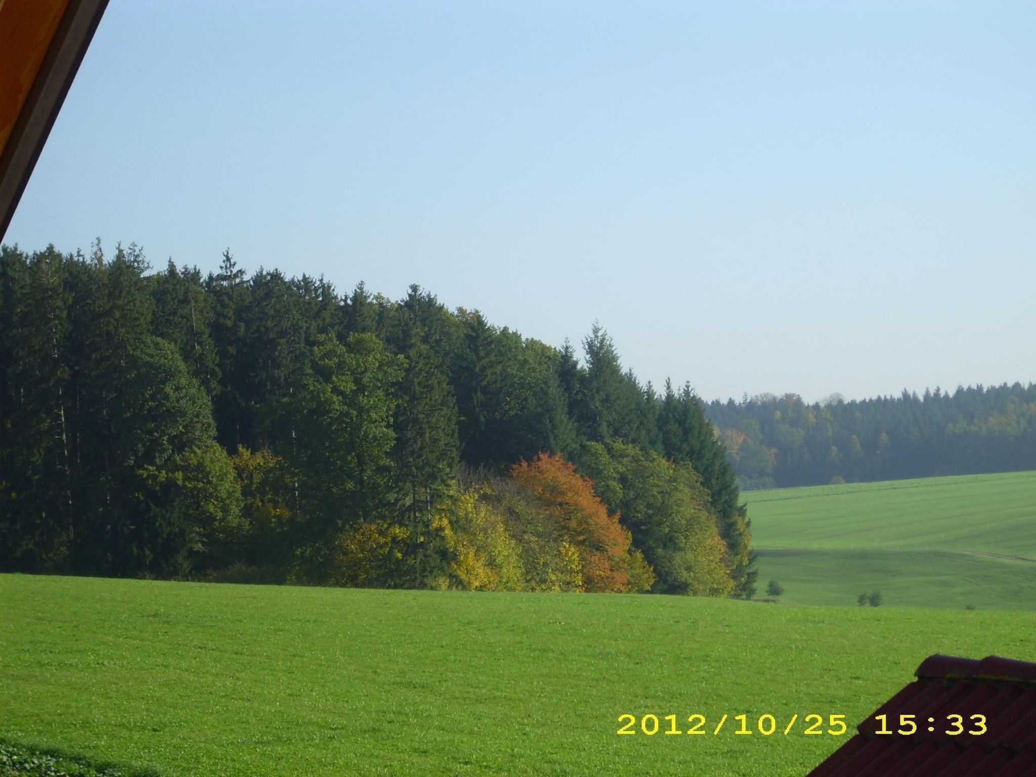 Wohnung in Oberwaldbach mit Garten und Grill-Binnen