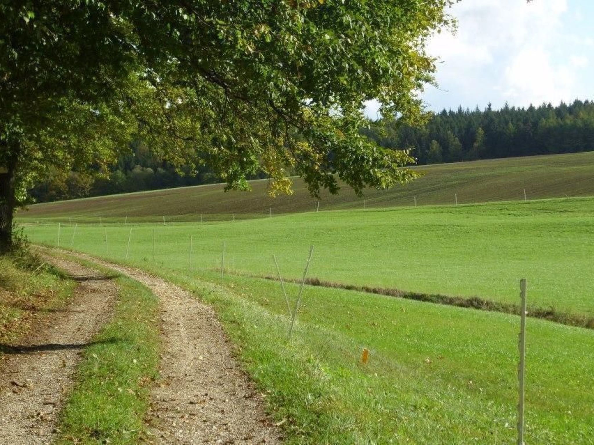 Wohnung in Oberwaldbach mit Garten und Grill-Binnen
