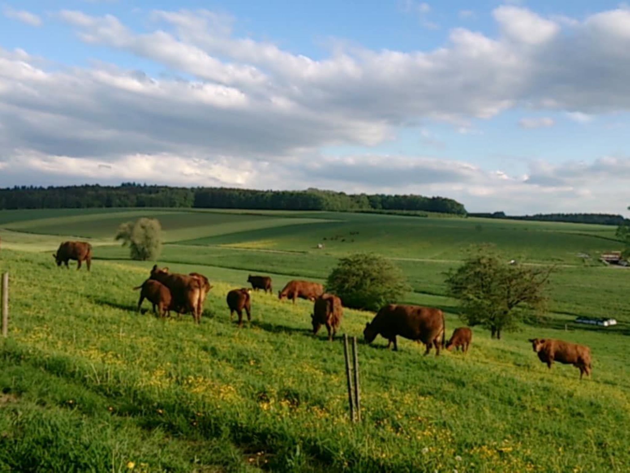 Schöne Ferienwohnung in Oberwaldbach-Binnen