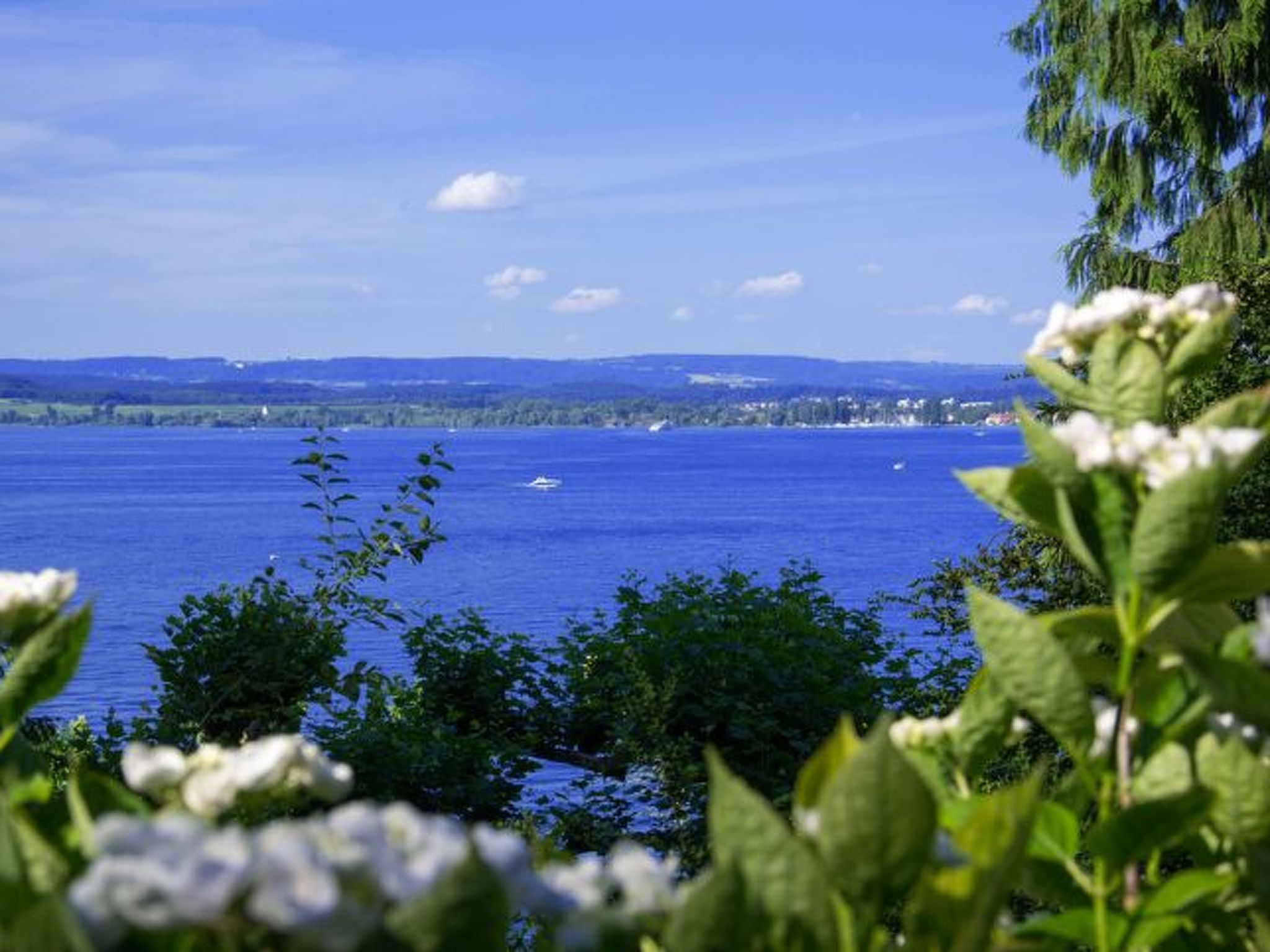 Mit Garten im schönen Tannheim-Binnen