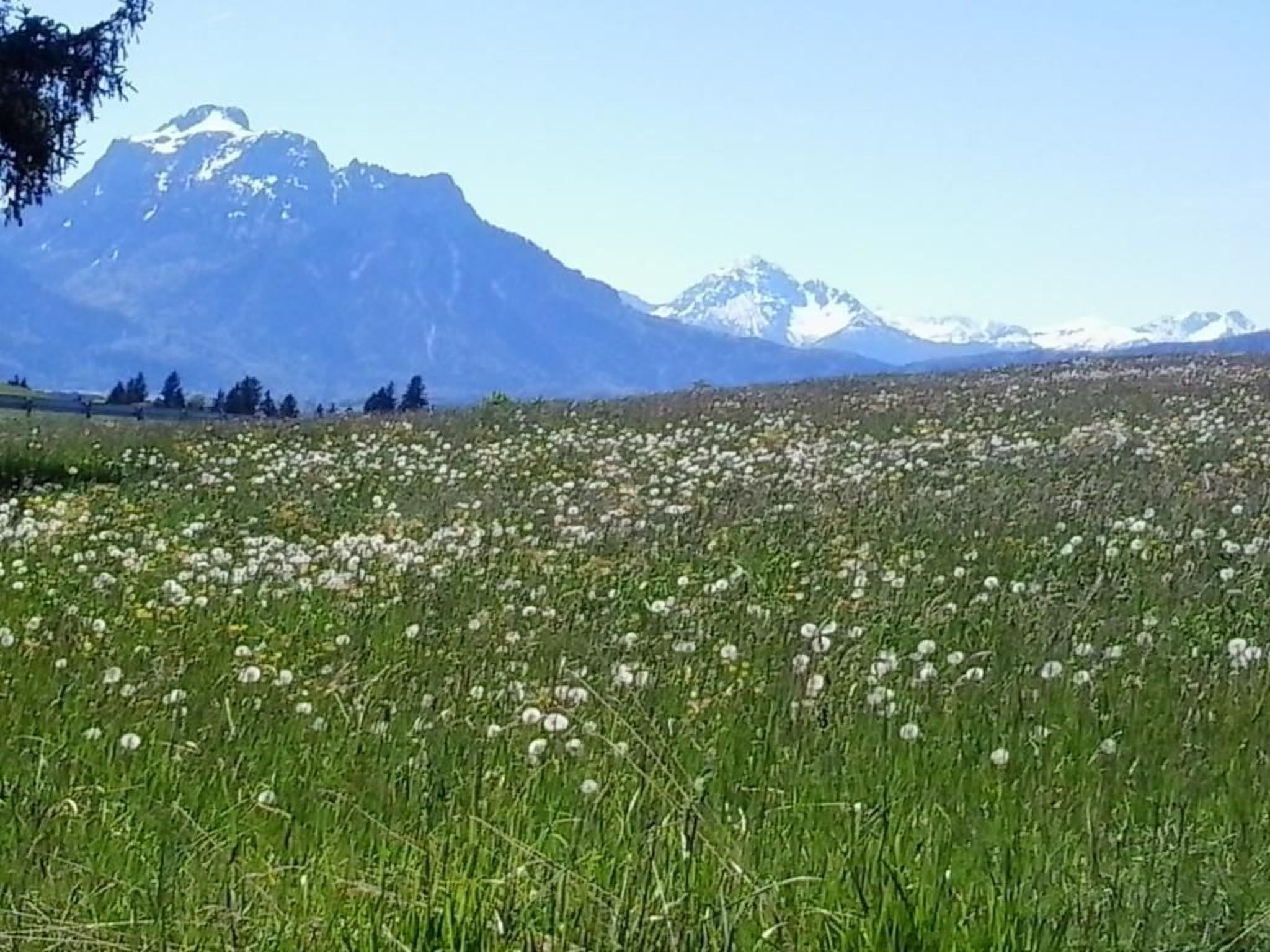 Chalet mit Blick auf das Wasser-Binnen