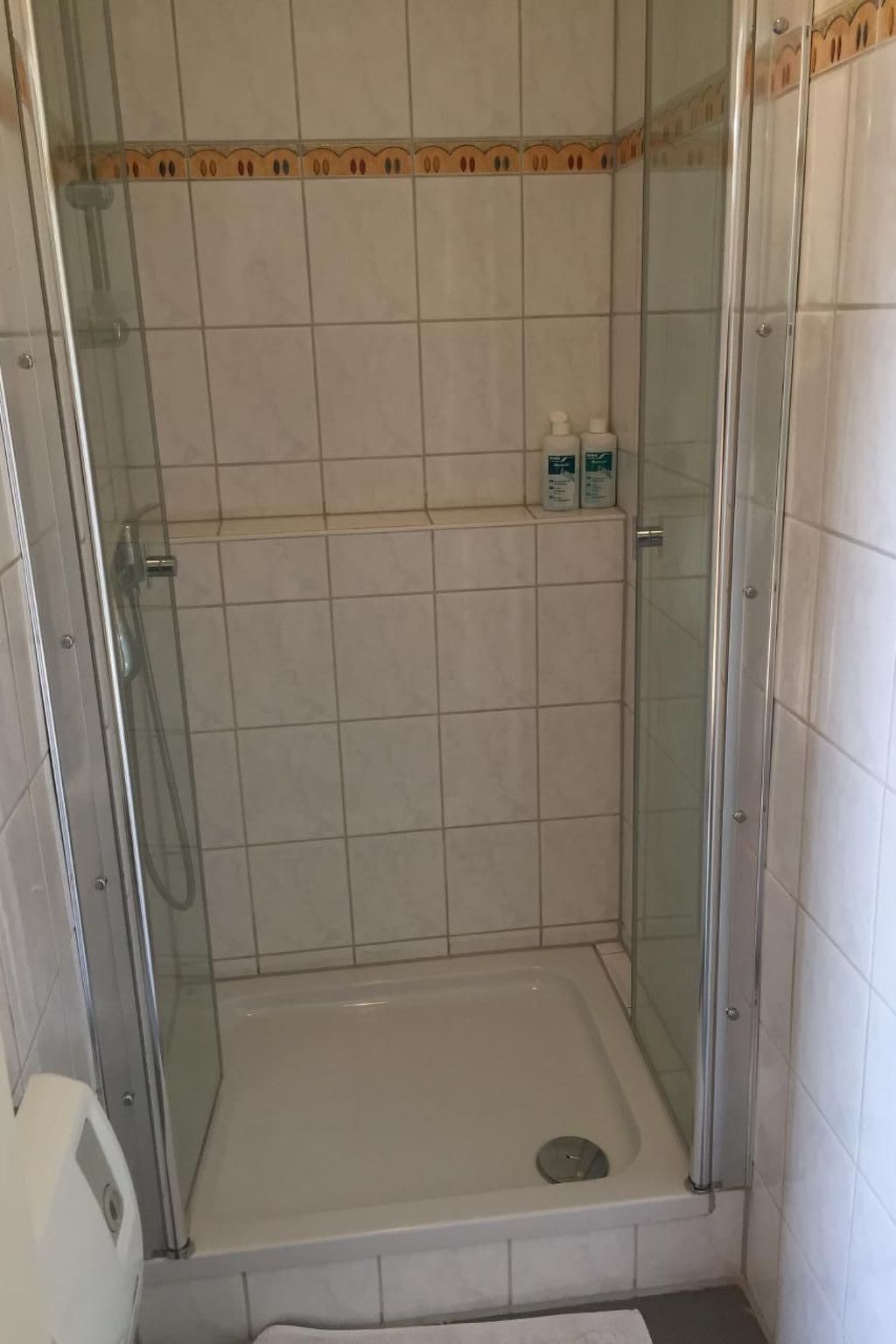 Wunderschöne Wohnung in Gienau mit Großer Terrasse - Drinnen