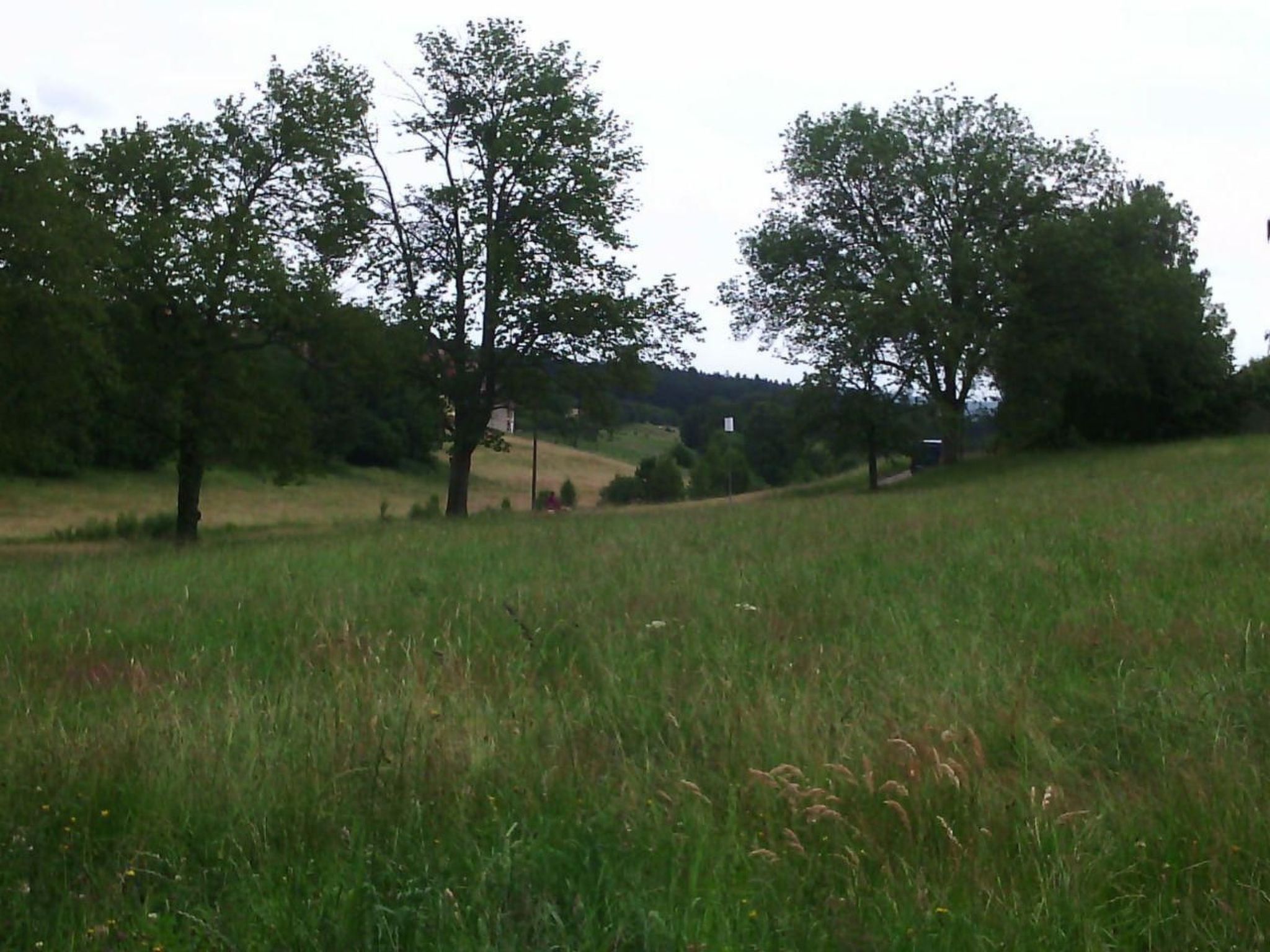 Wohnung mit Terrasse, Grill und Garten-Image-tags.info