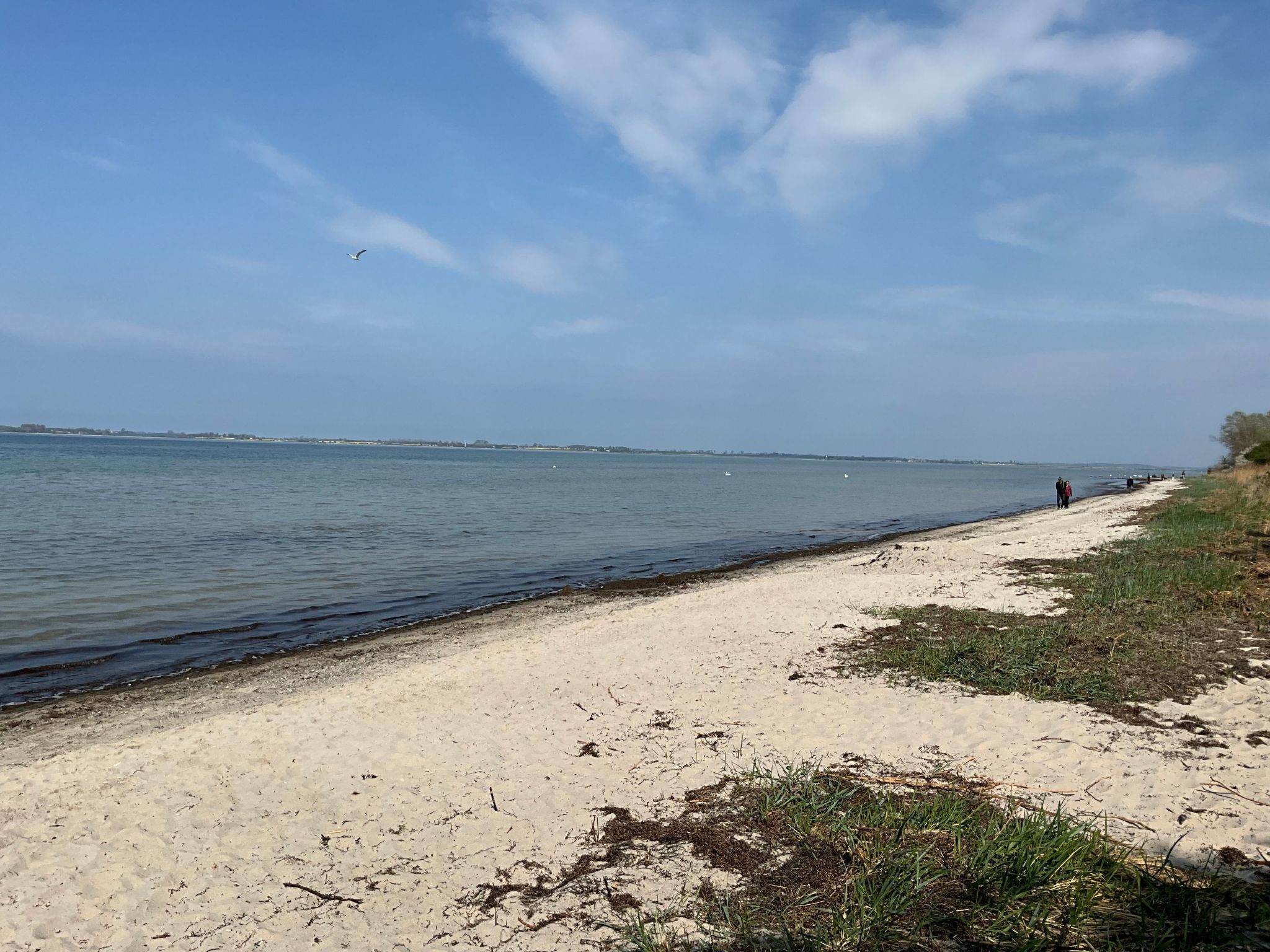 In Hoben mit Grill und Terrasse-Binnen