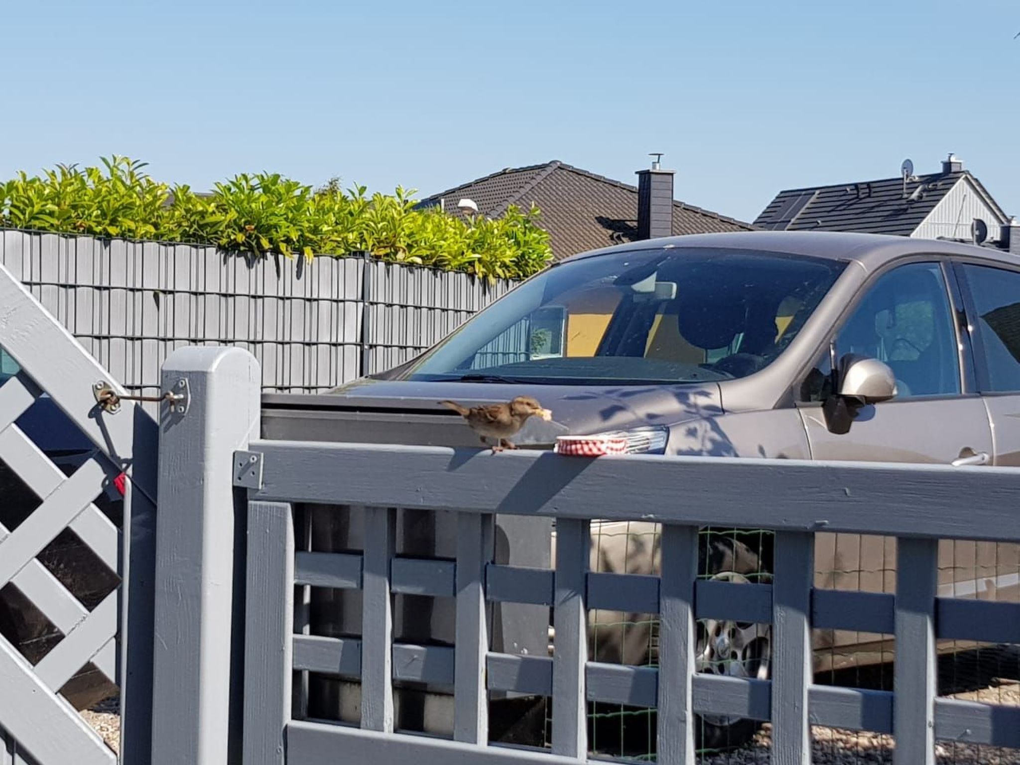 Kapitänskoje an der Wismarbucht-Binnen