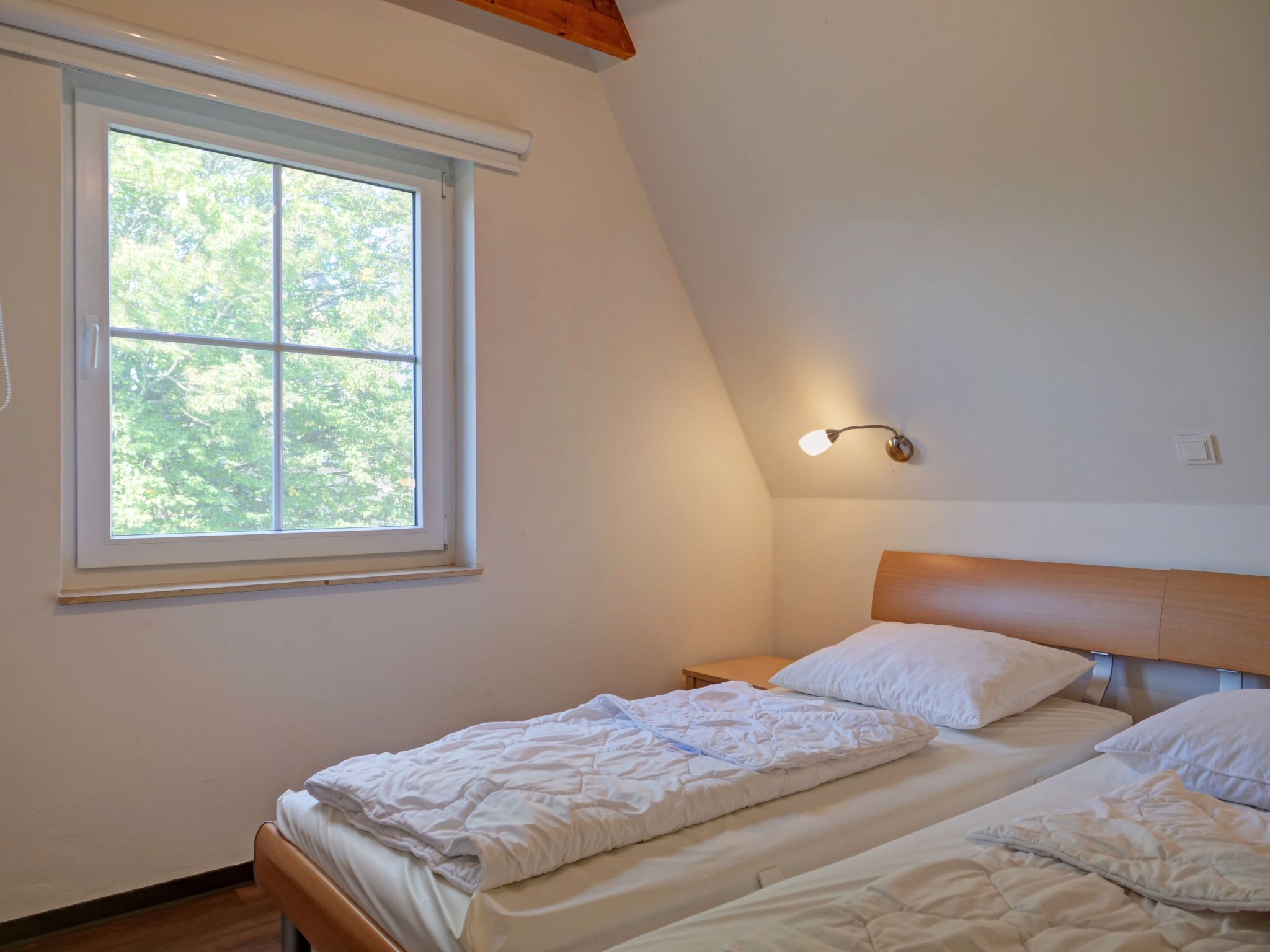 Reethaus Schwan mit großem Grundstück-Image-tags.info