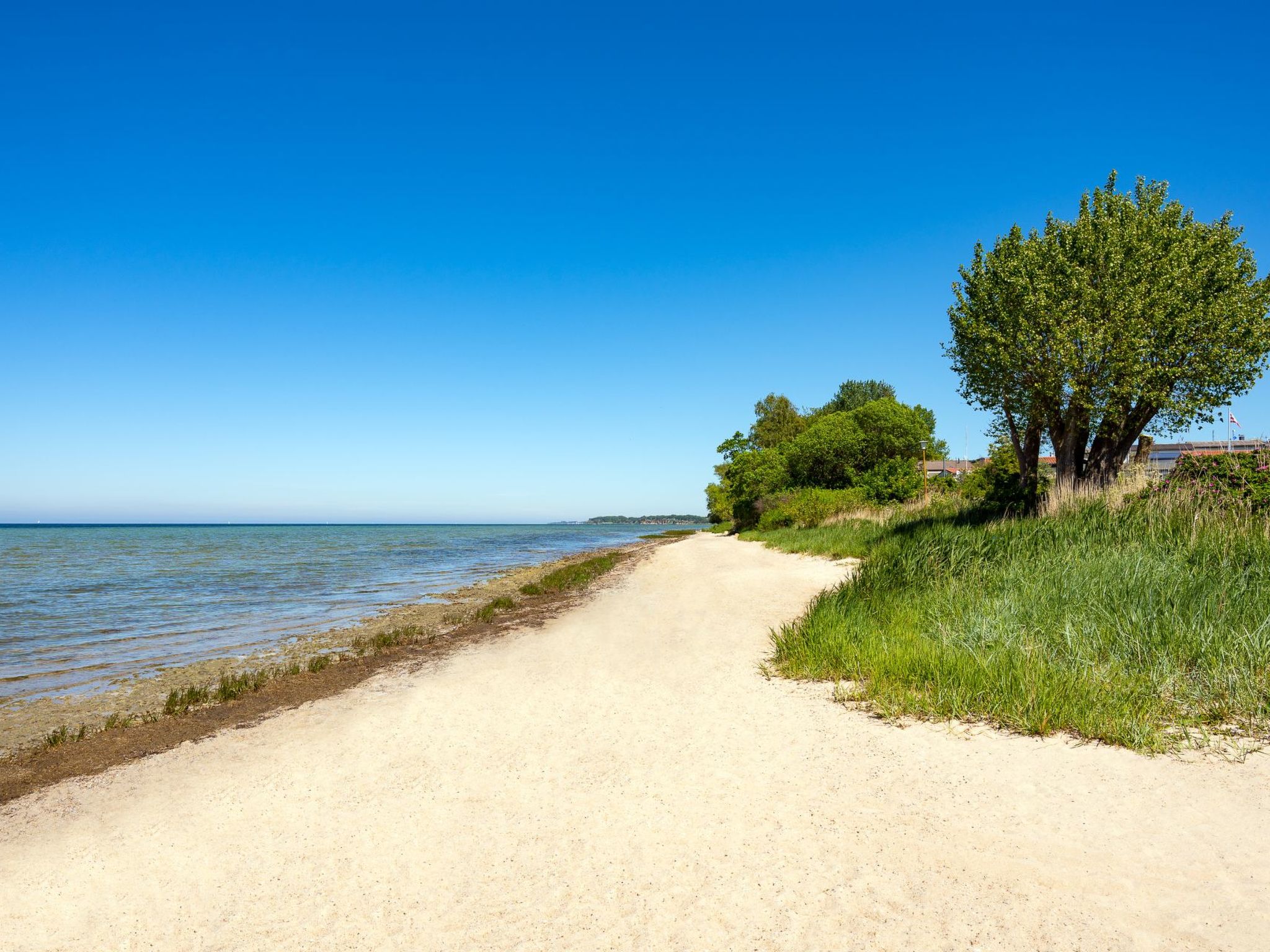 Jaguar-Image-tags.info