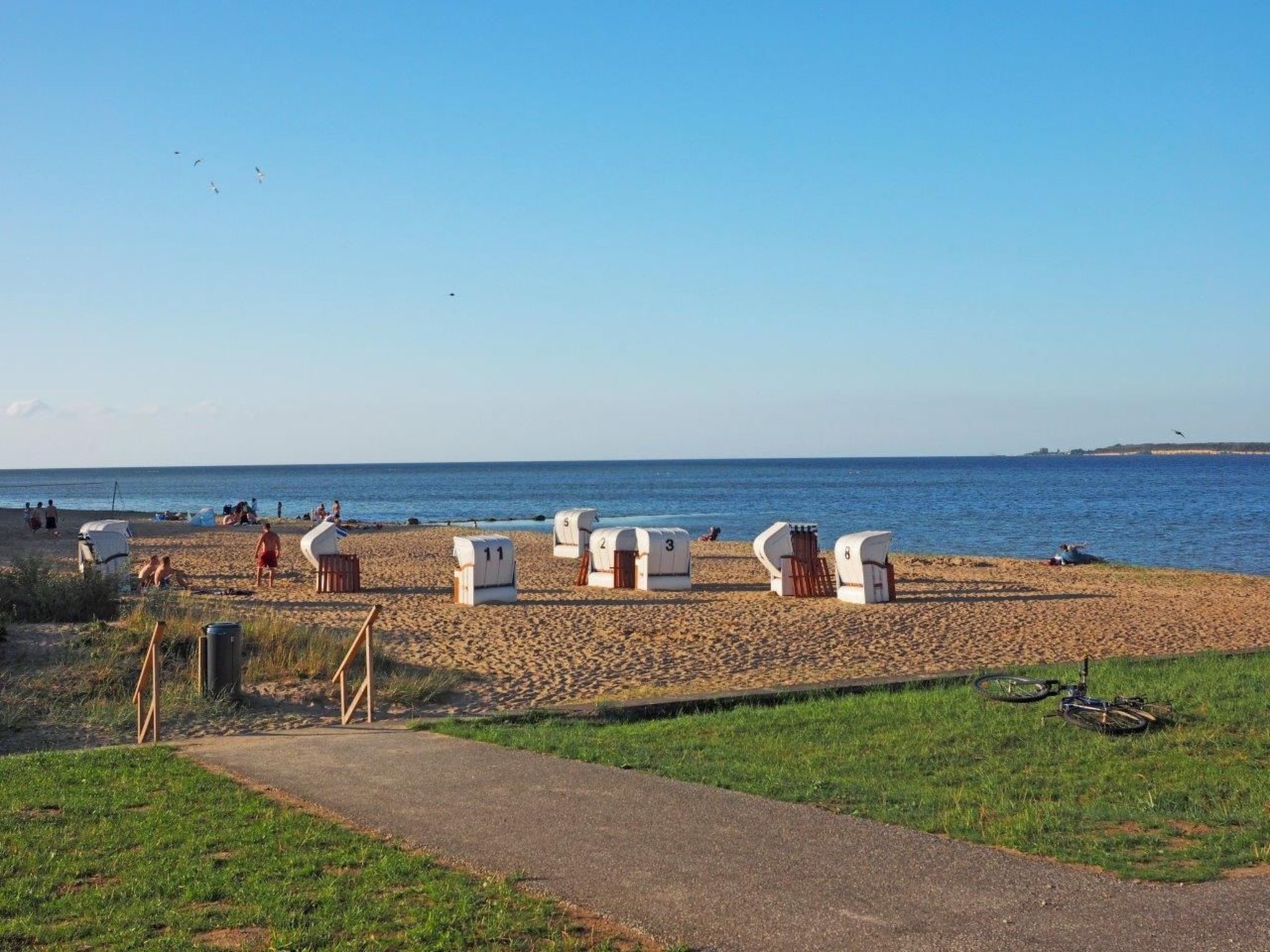 Sonnenblume in Hohen Wieschendorf-Image-tags.info