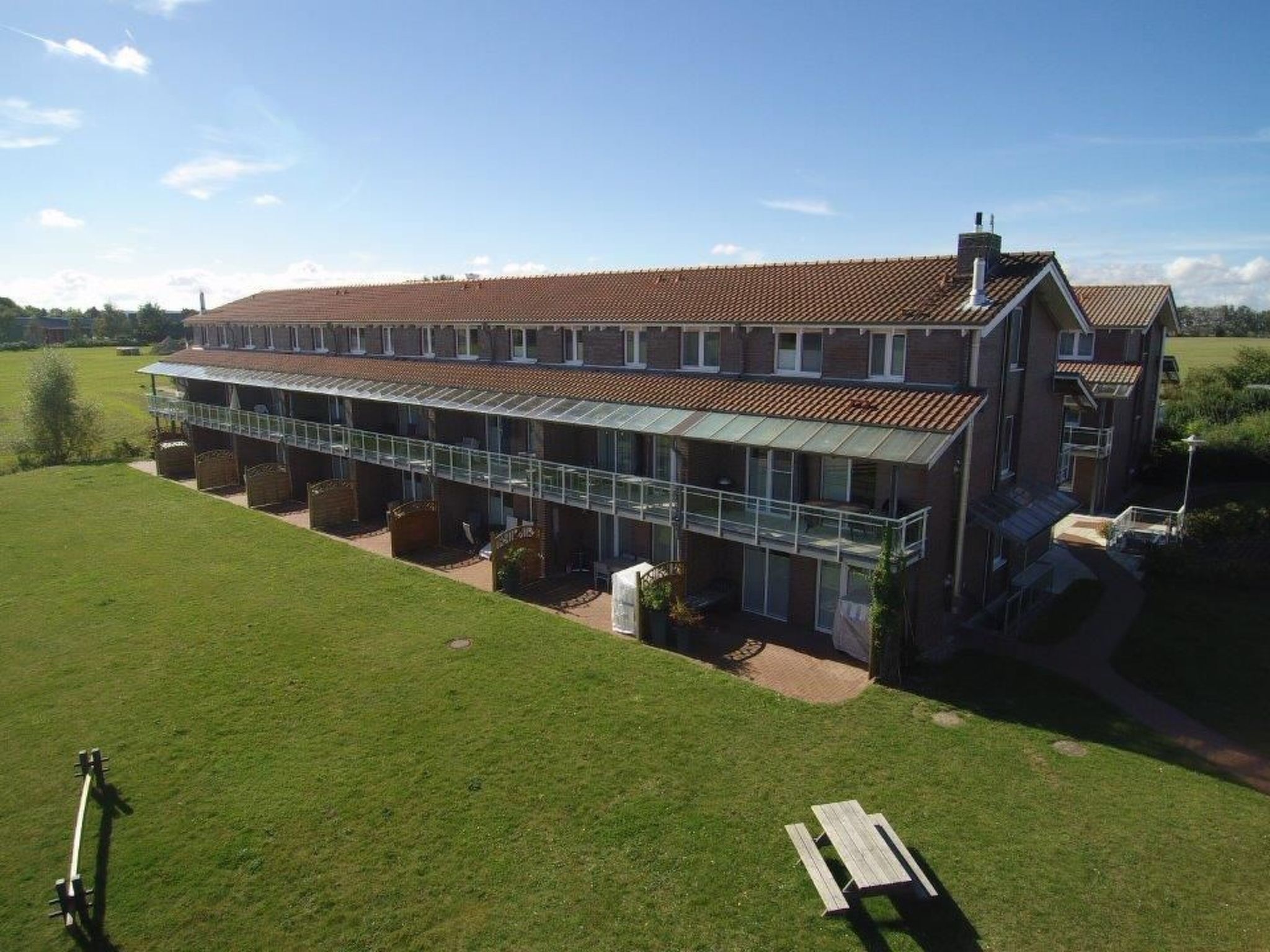 Sonnenblume in Hohen Wieschendorf-Image-tags.info