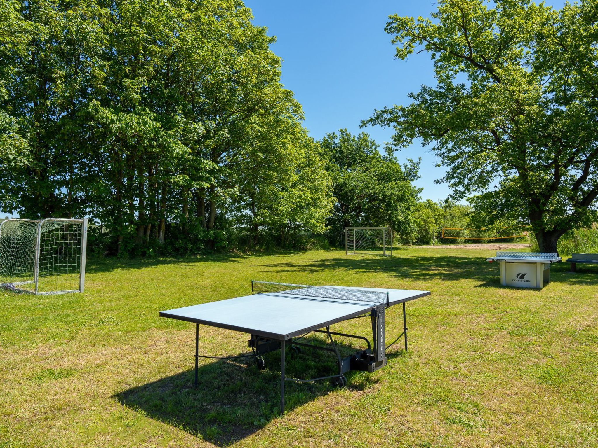 Urlaub mit Hund im Reethaus Muschel-Image-tags.info