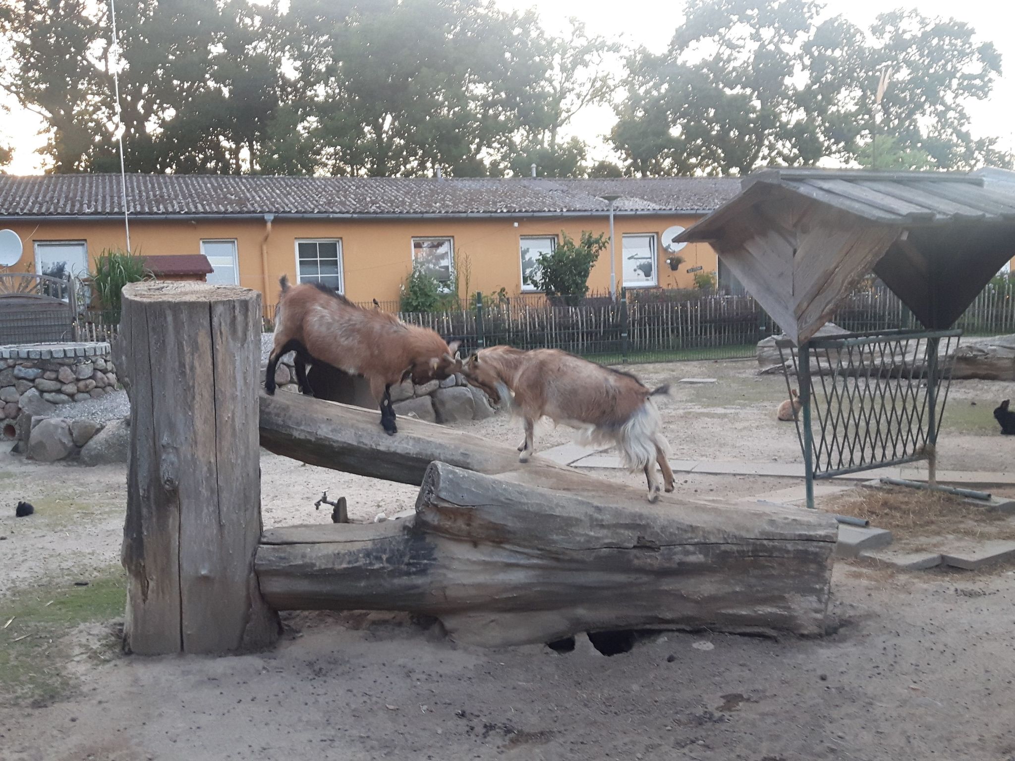 Schönes Schwedenhäuschen-Binnen