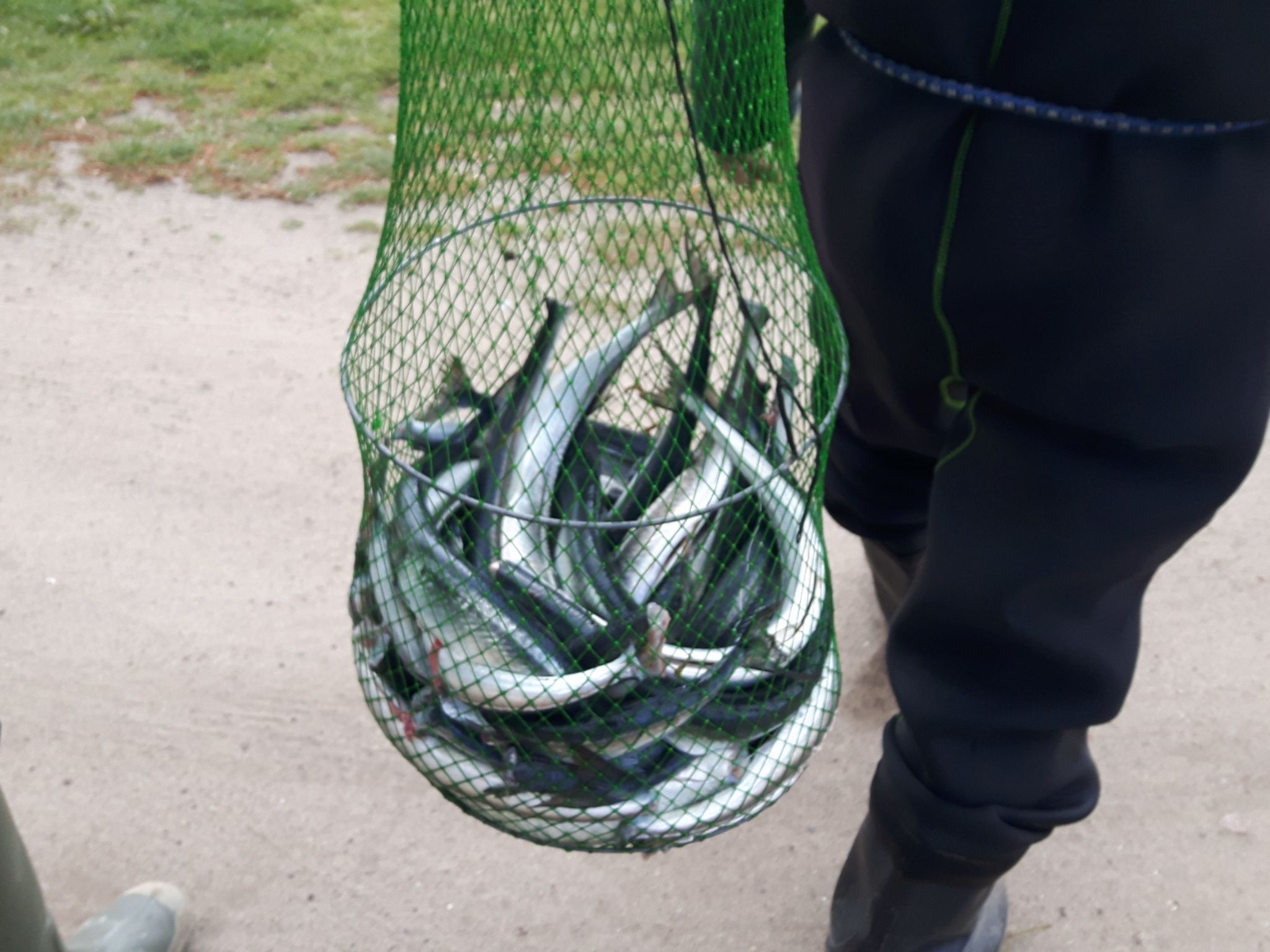 Schönes Schwedenhäuschen-Binnen