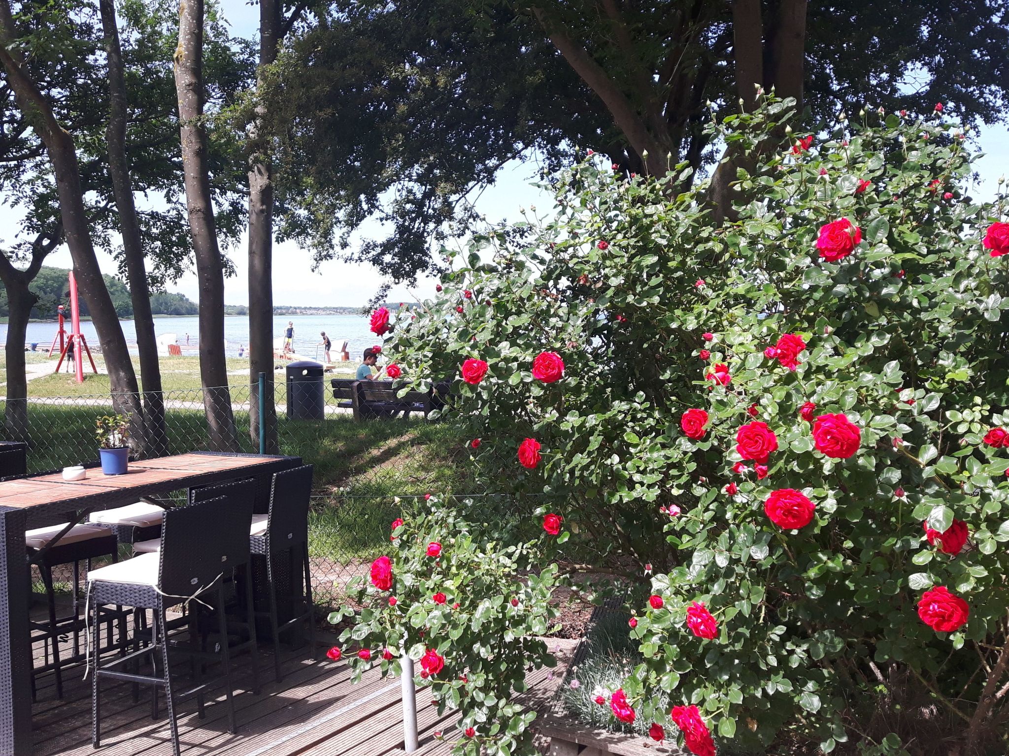 Gemütliches Schwedenhäuschen in guter Lage-Binnen