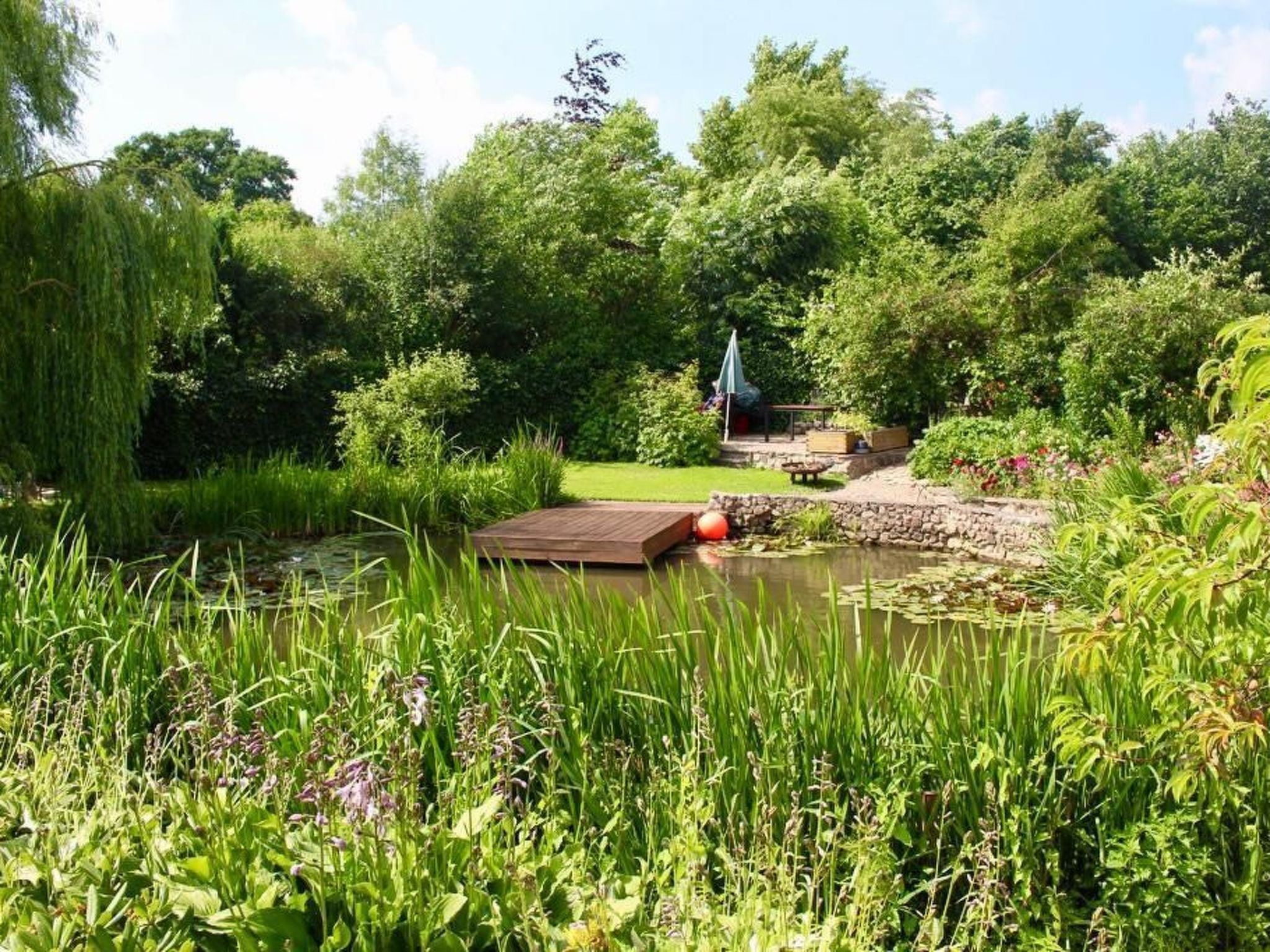 Teichblick in Klütz-Dedans