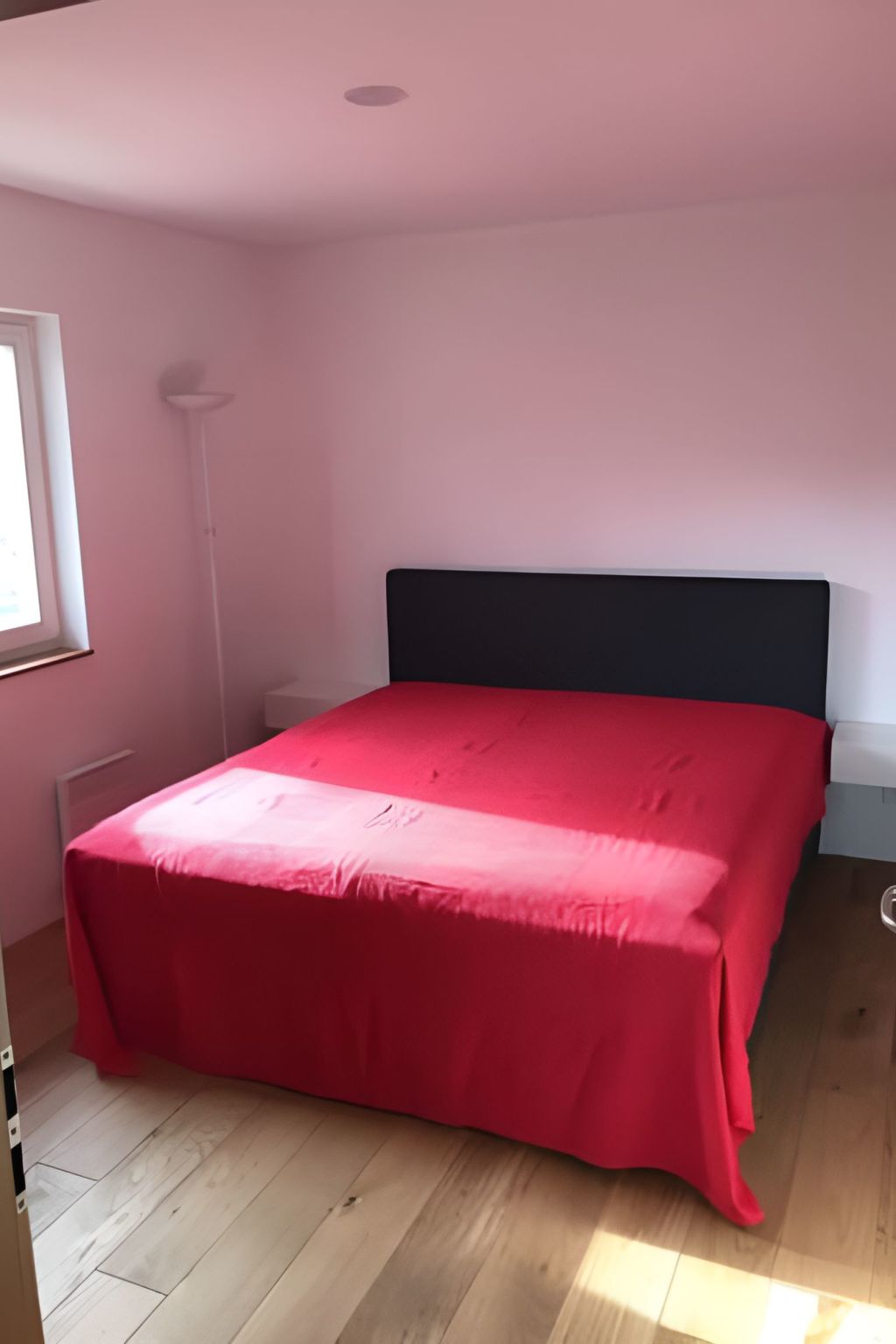 Carpe diem-Image-tags.info