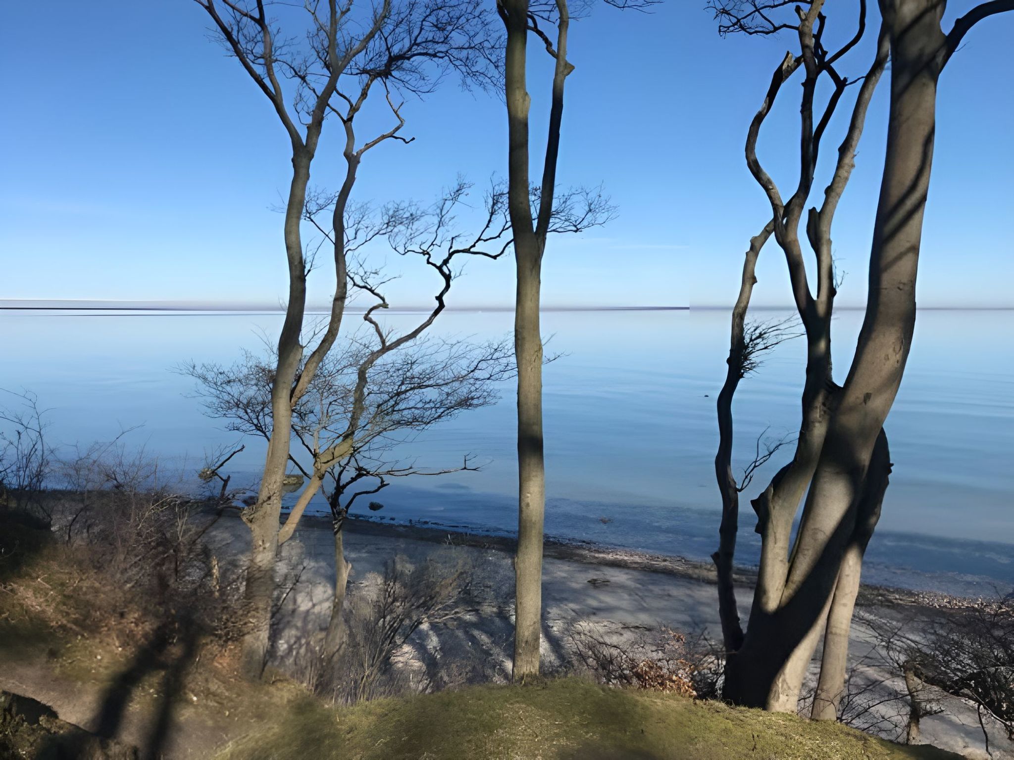 Carpe diem-Image-tags.info