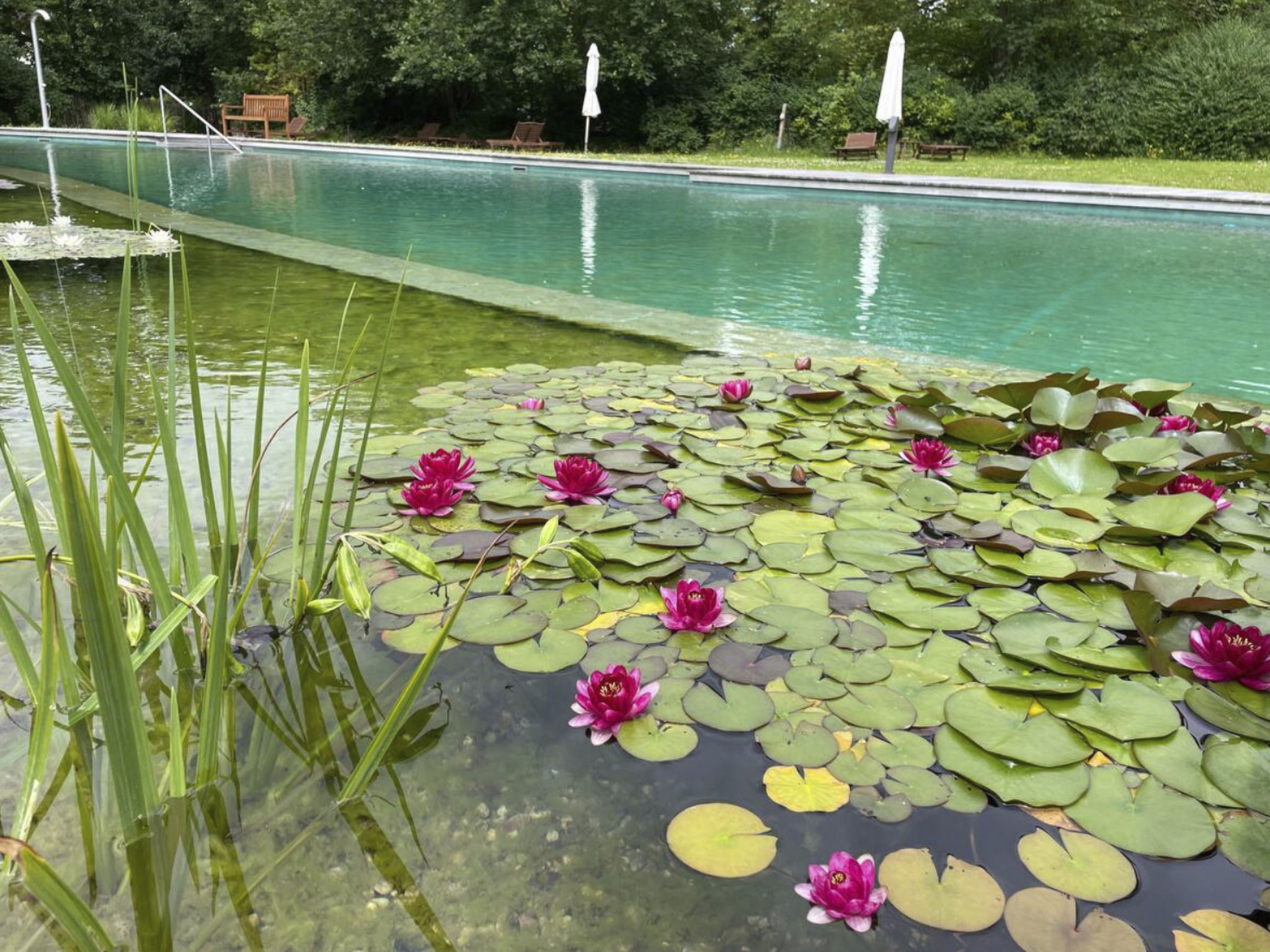 Haus Weitblick-Image-tags.info