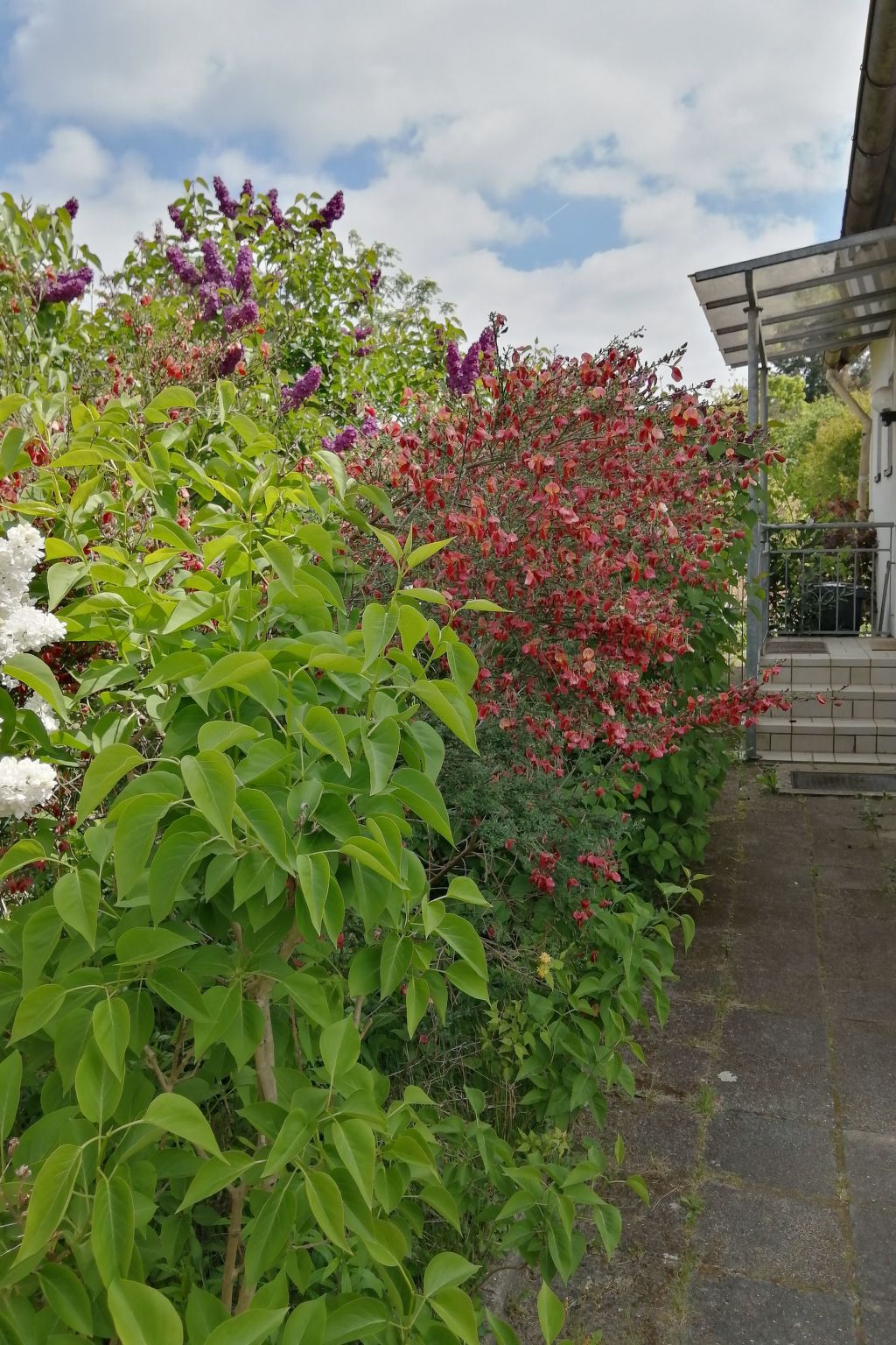 Adendorf-Image-tags.info