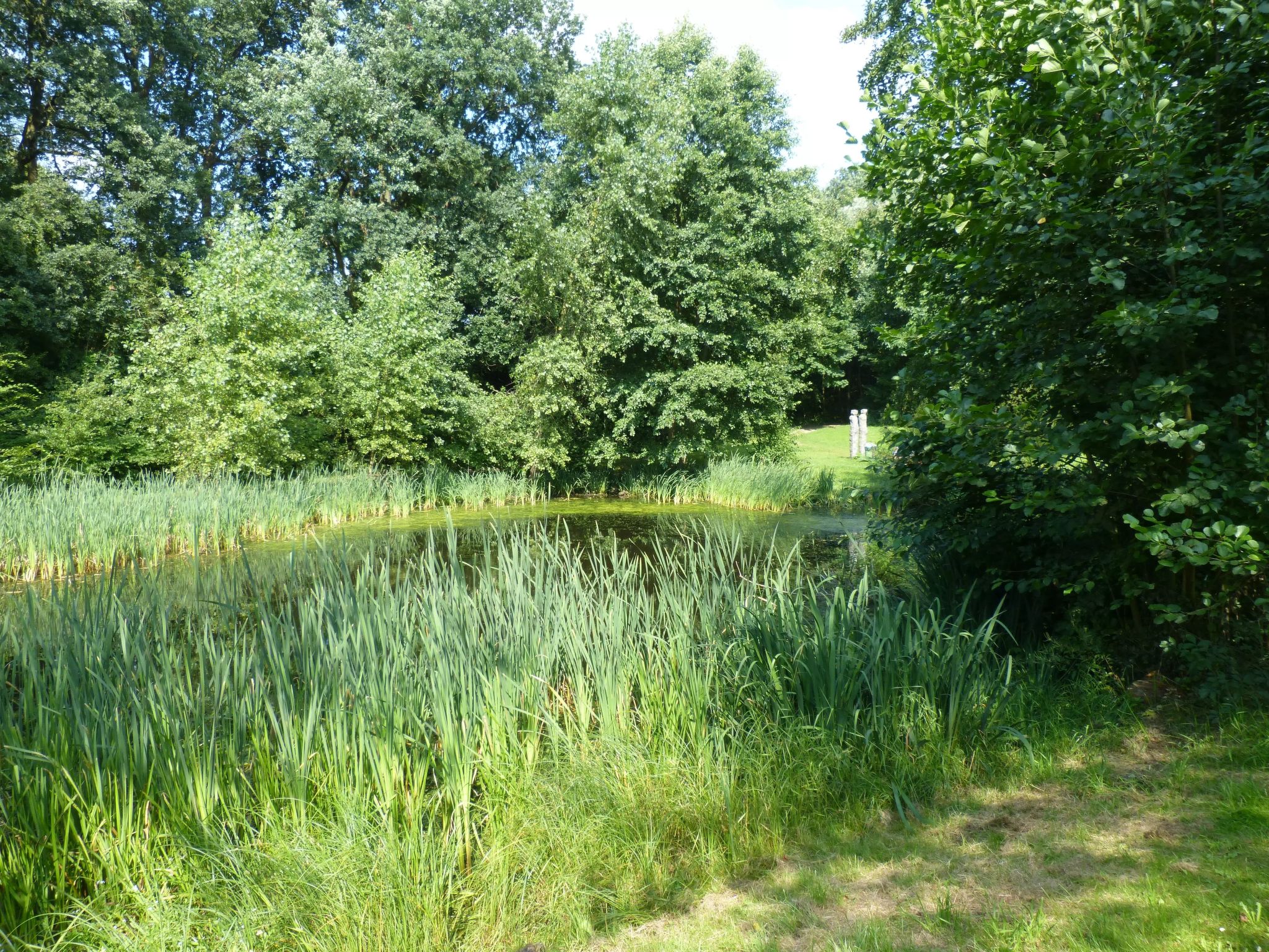 Adendorf-Image-tags.info