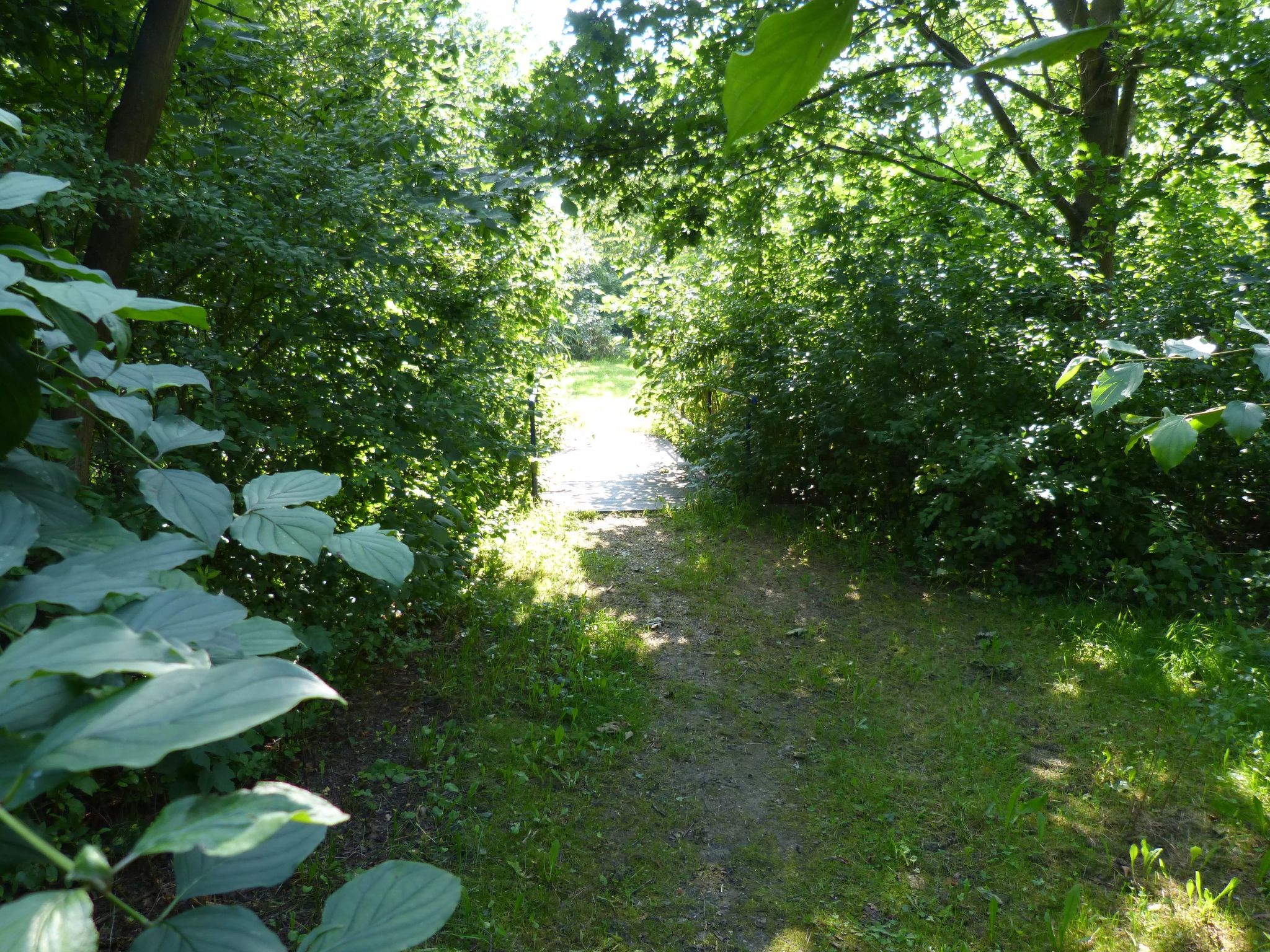 Adendorf-Image-tags.info