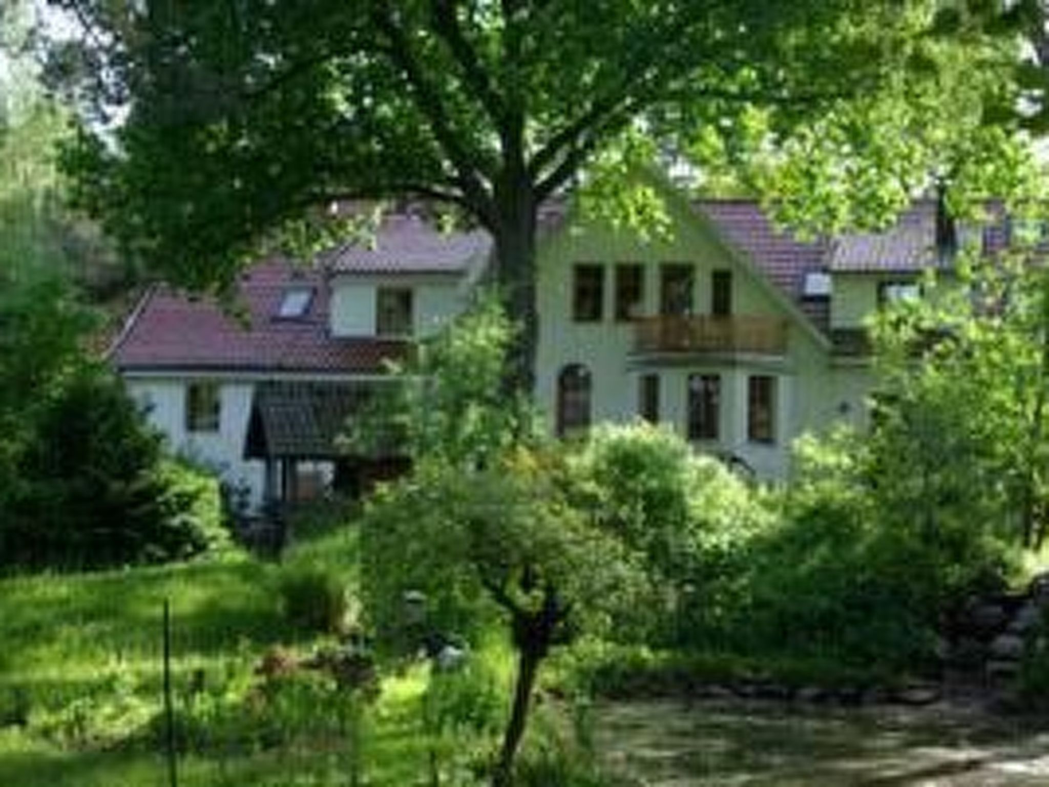 Waldblick - Draußen