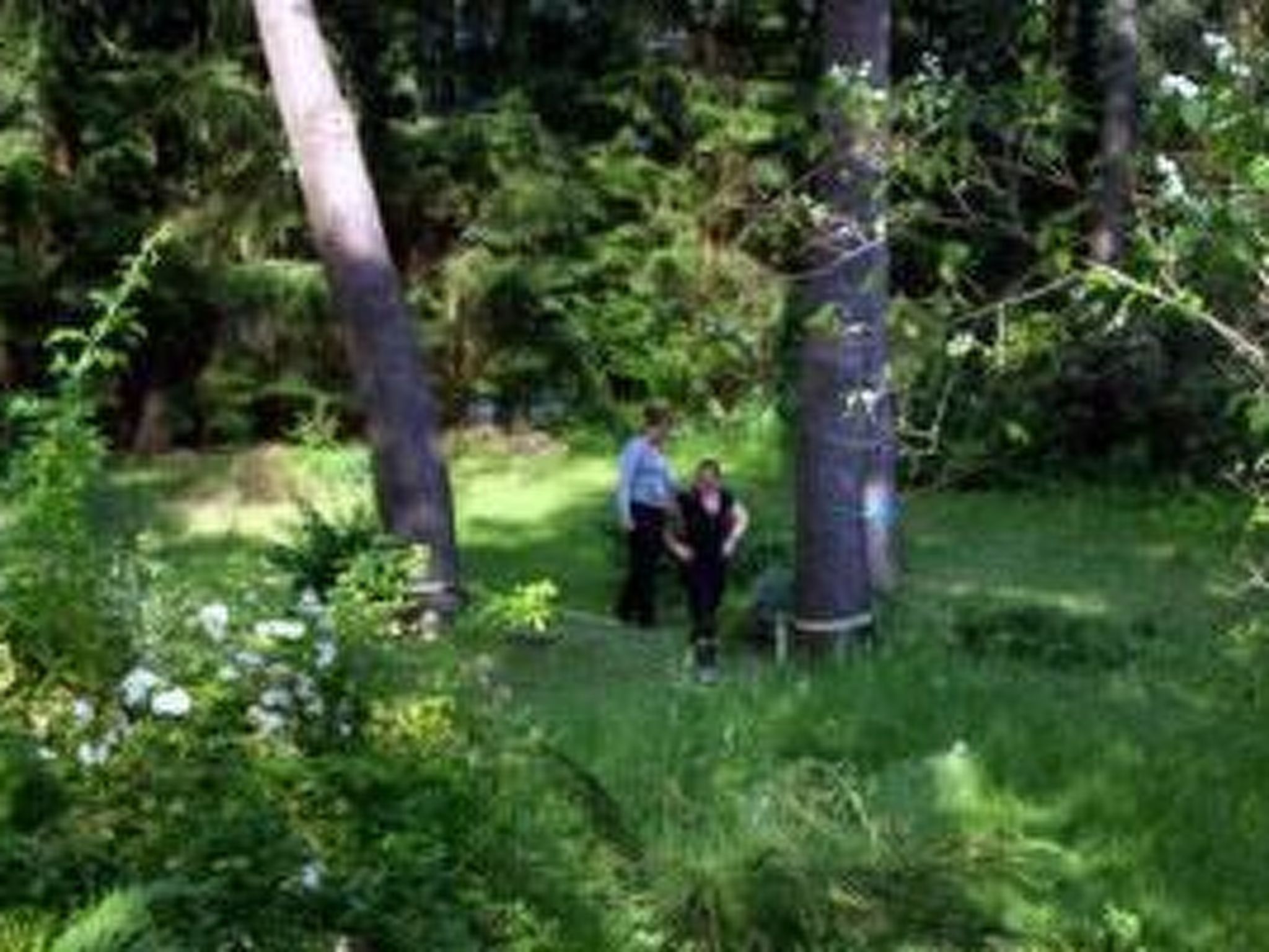 Waldblick - Draußen