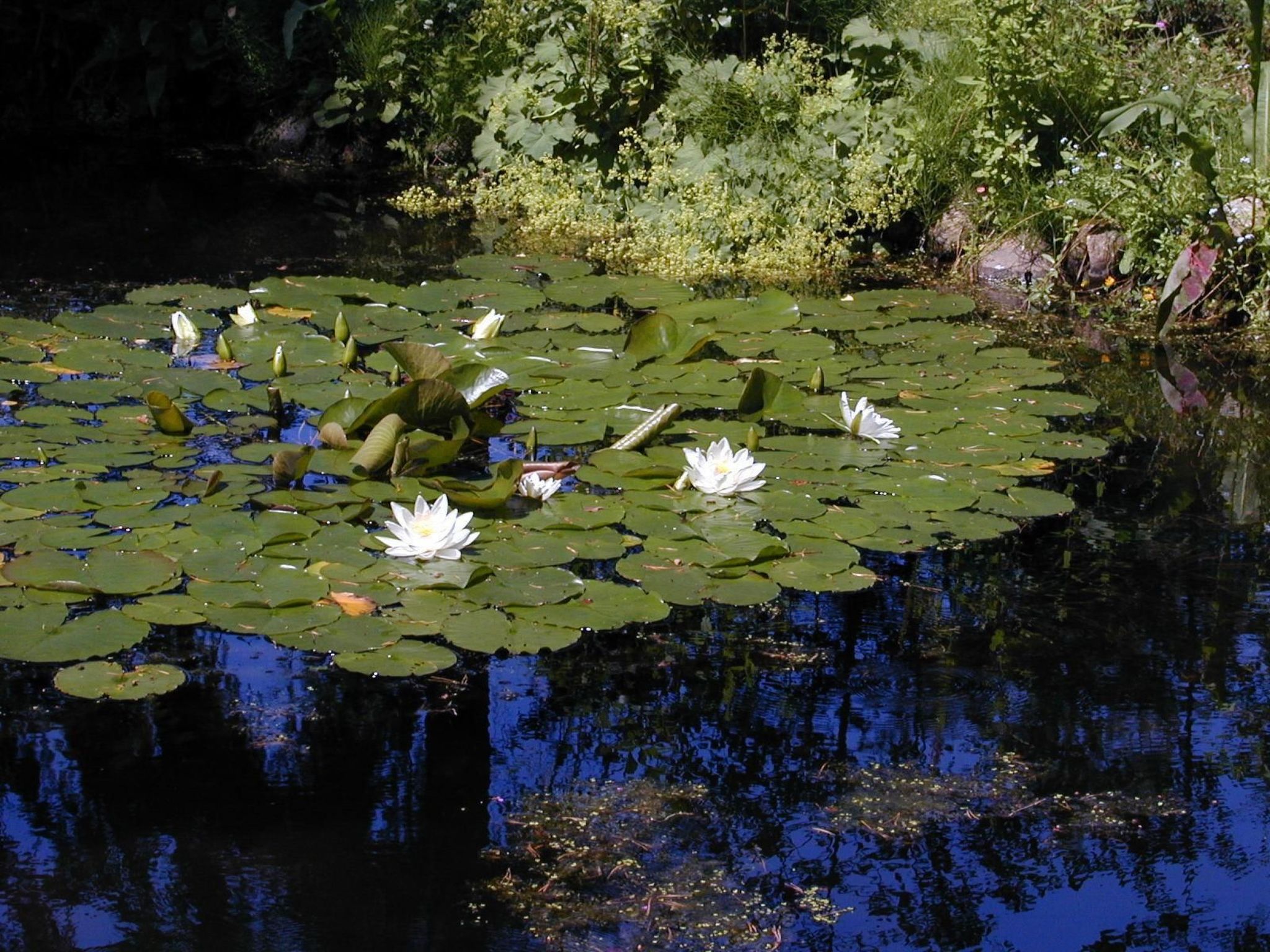 Waldblick - Draußen