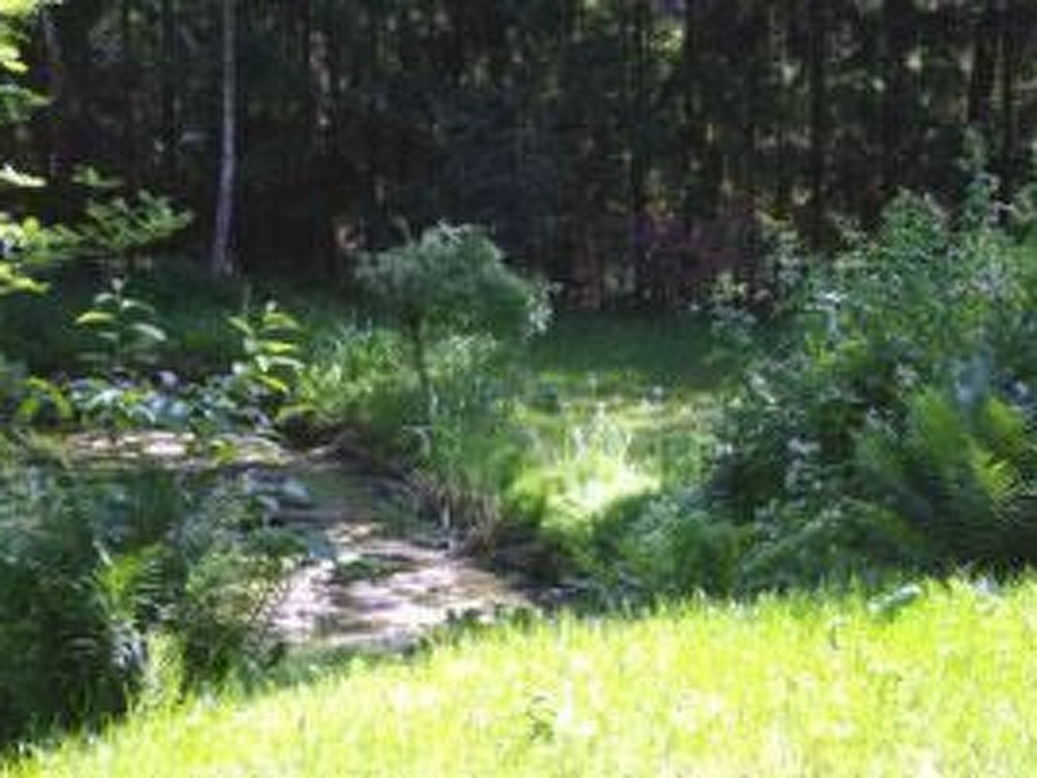 Große Ferienwohnung in Bleckede mit Großem Balkon-Image-tags.info