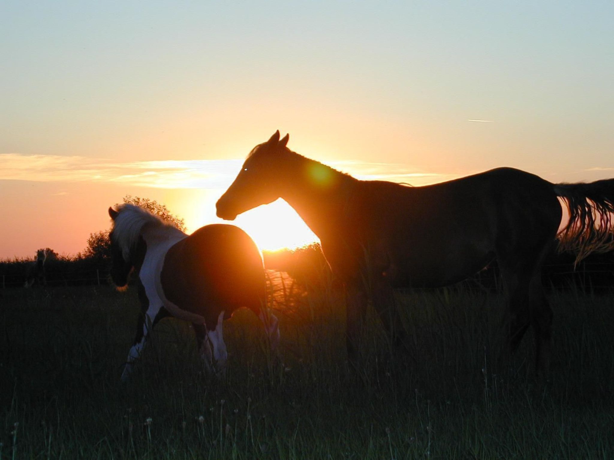 Große Ferienwohnung in Bleckede mit Großem Balkon-Image-tags.info