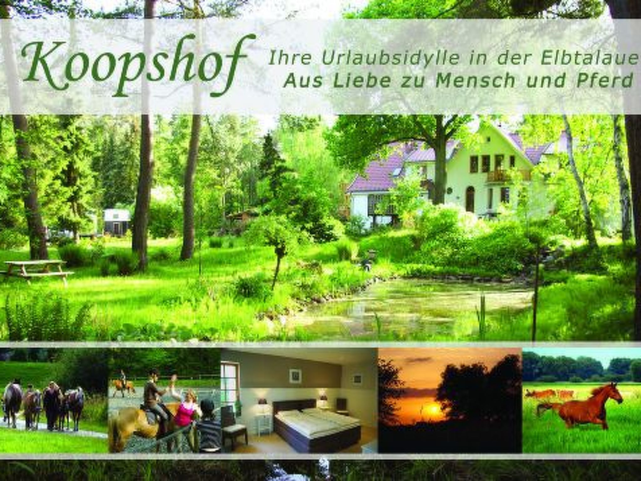 Große Ferienwohnung in Bleckede mit Großem Balkon-Image-tags.info