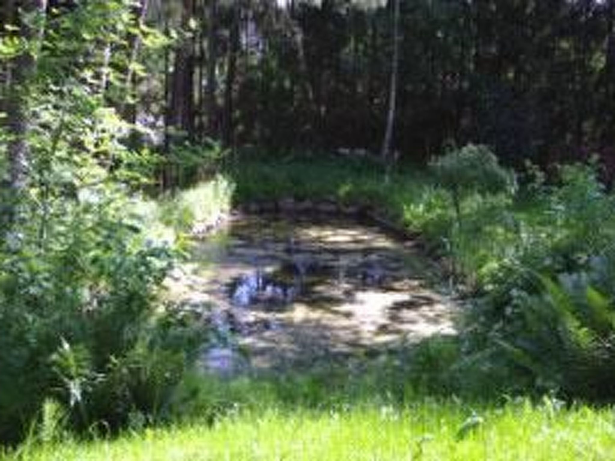 Seerose-Image-tags.info