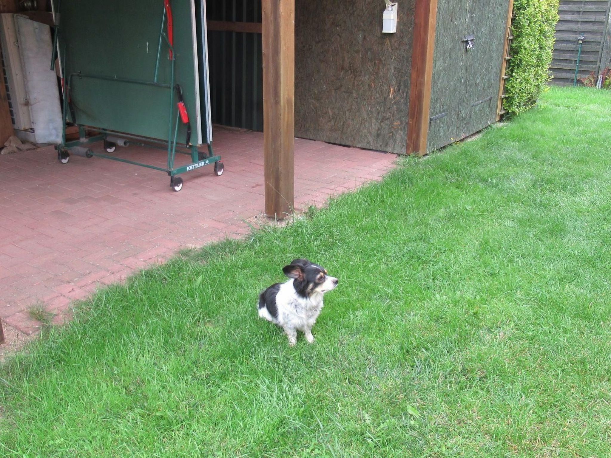 Appartement mit Garten, Grill und Terrasse-Image-tags.info