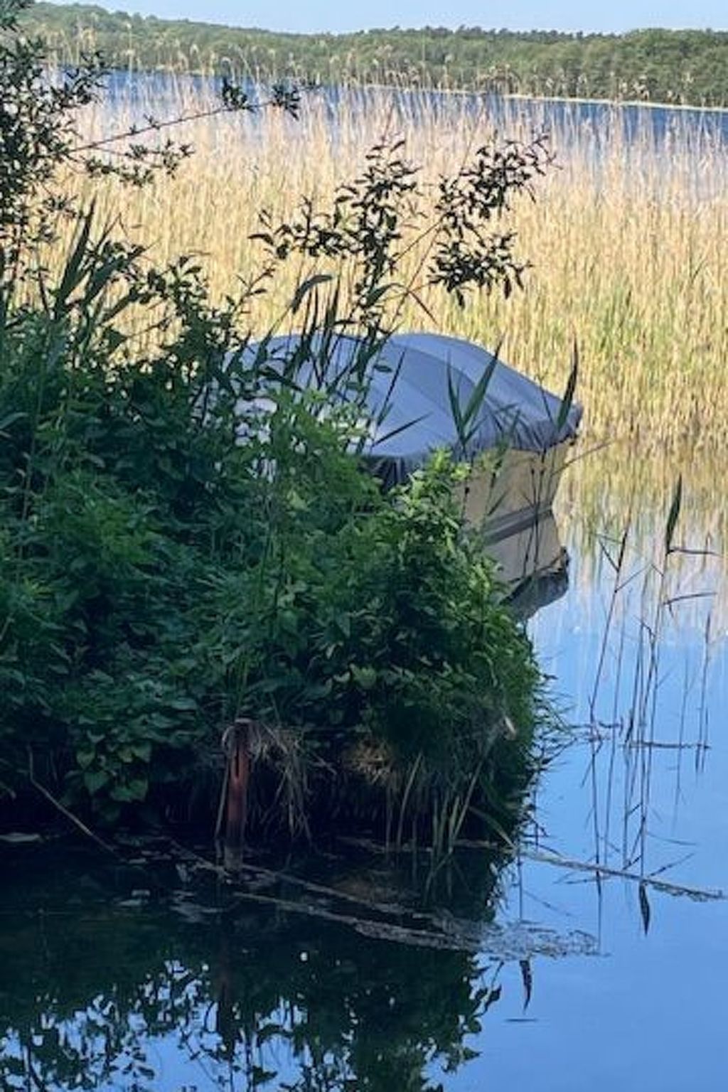 Bungalow Klein Pritz-Dedans